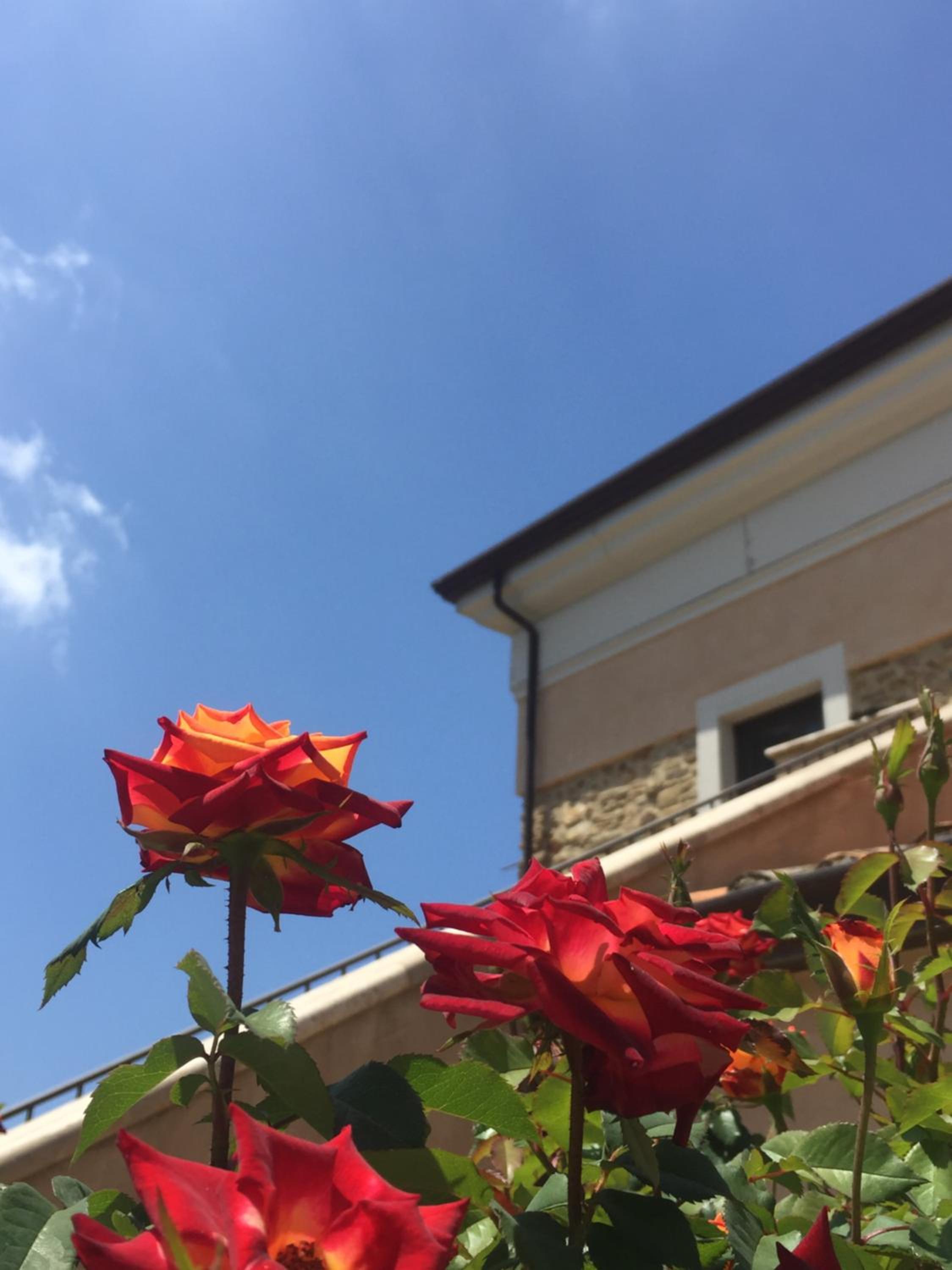 Casale Tiano