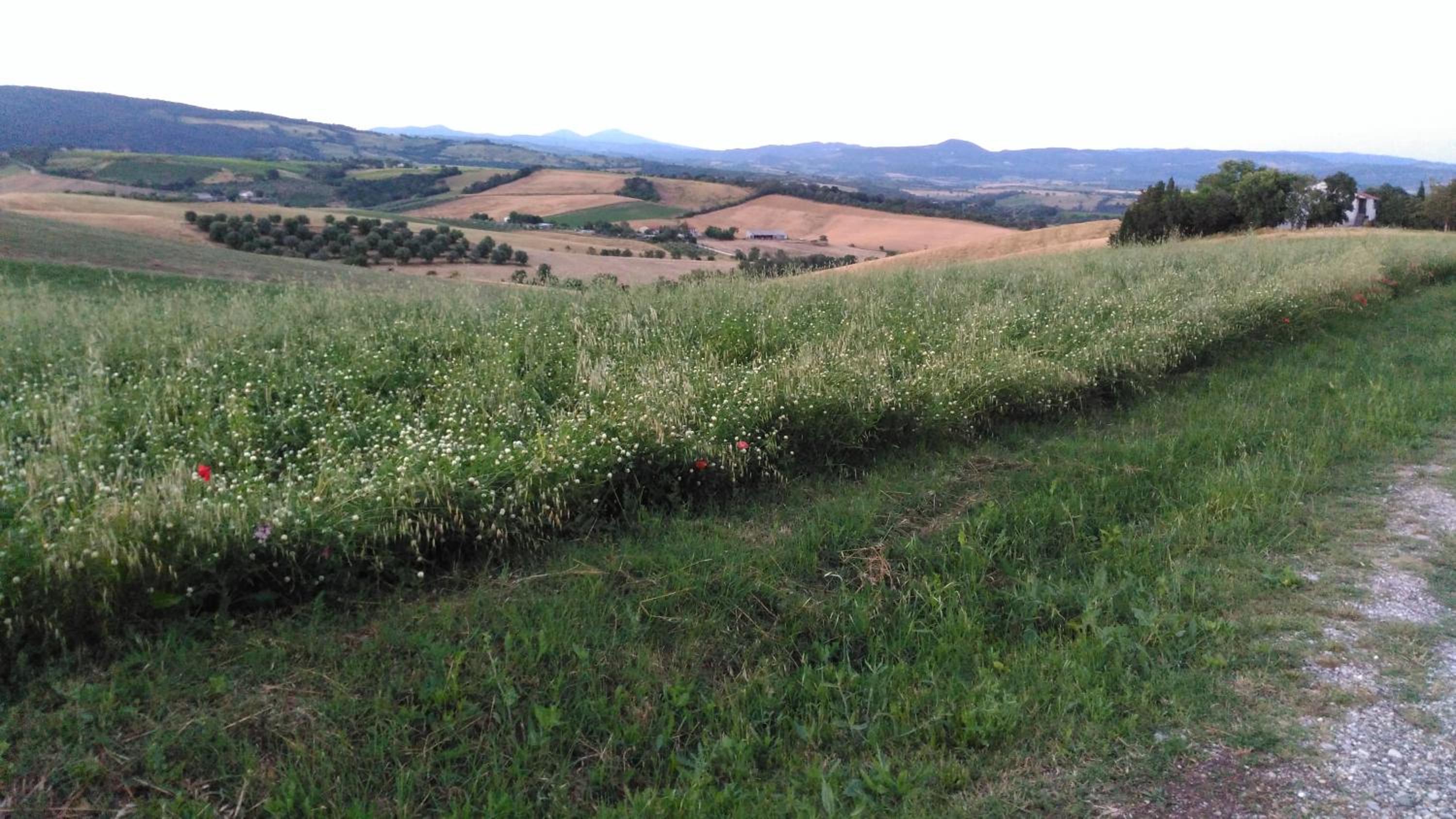 Photo 40