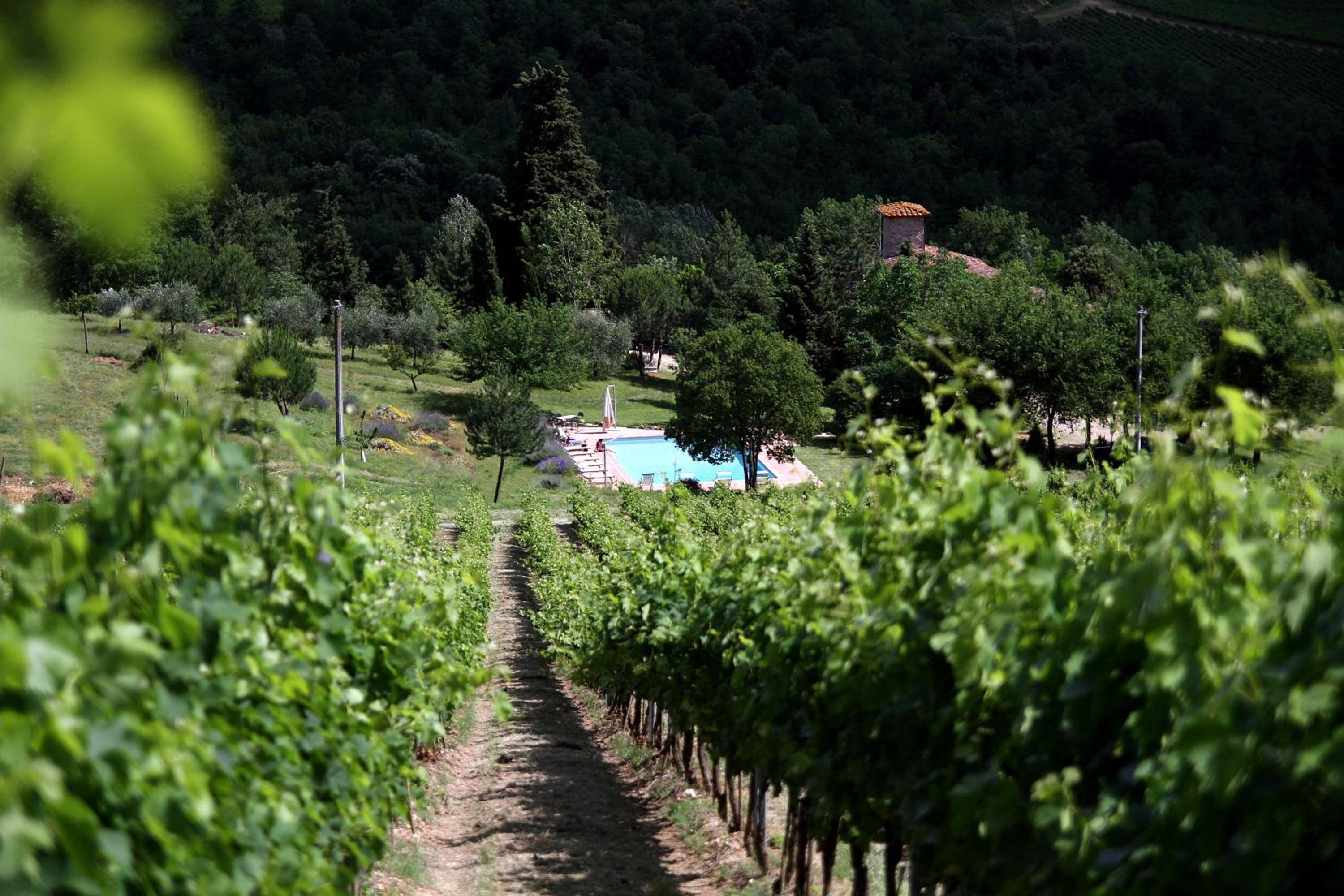 Podere Vignola