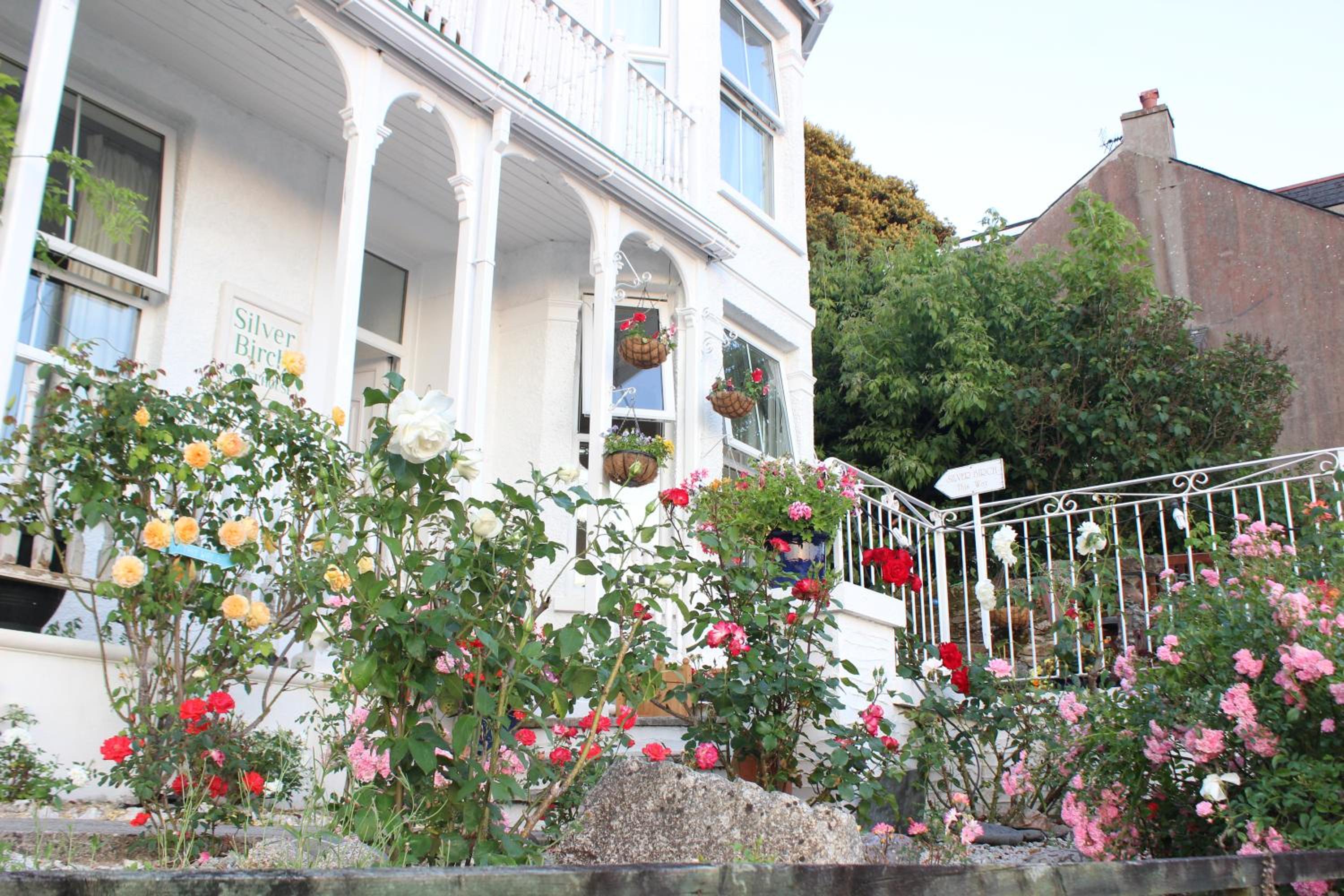 Looe Vacations - Silver Birch Guesthouse - Property Image 1