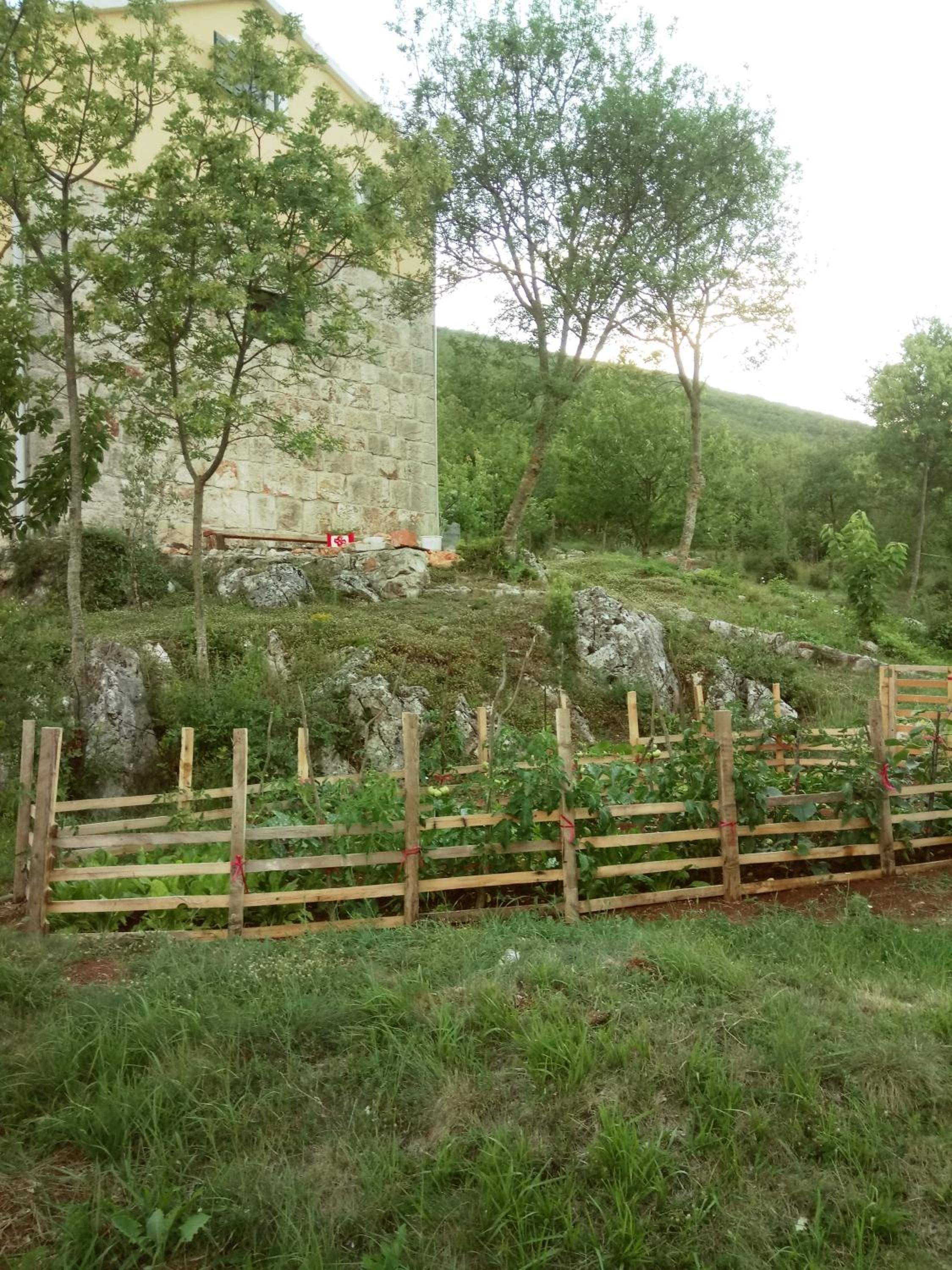 Photo 47