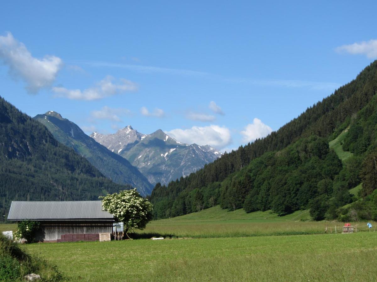 Photo 11