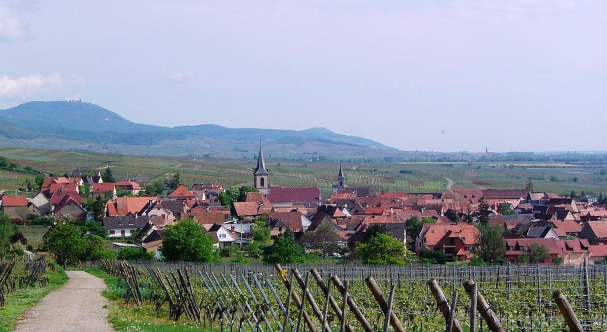 Gîtes Marschall Jean-Pierre view 4