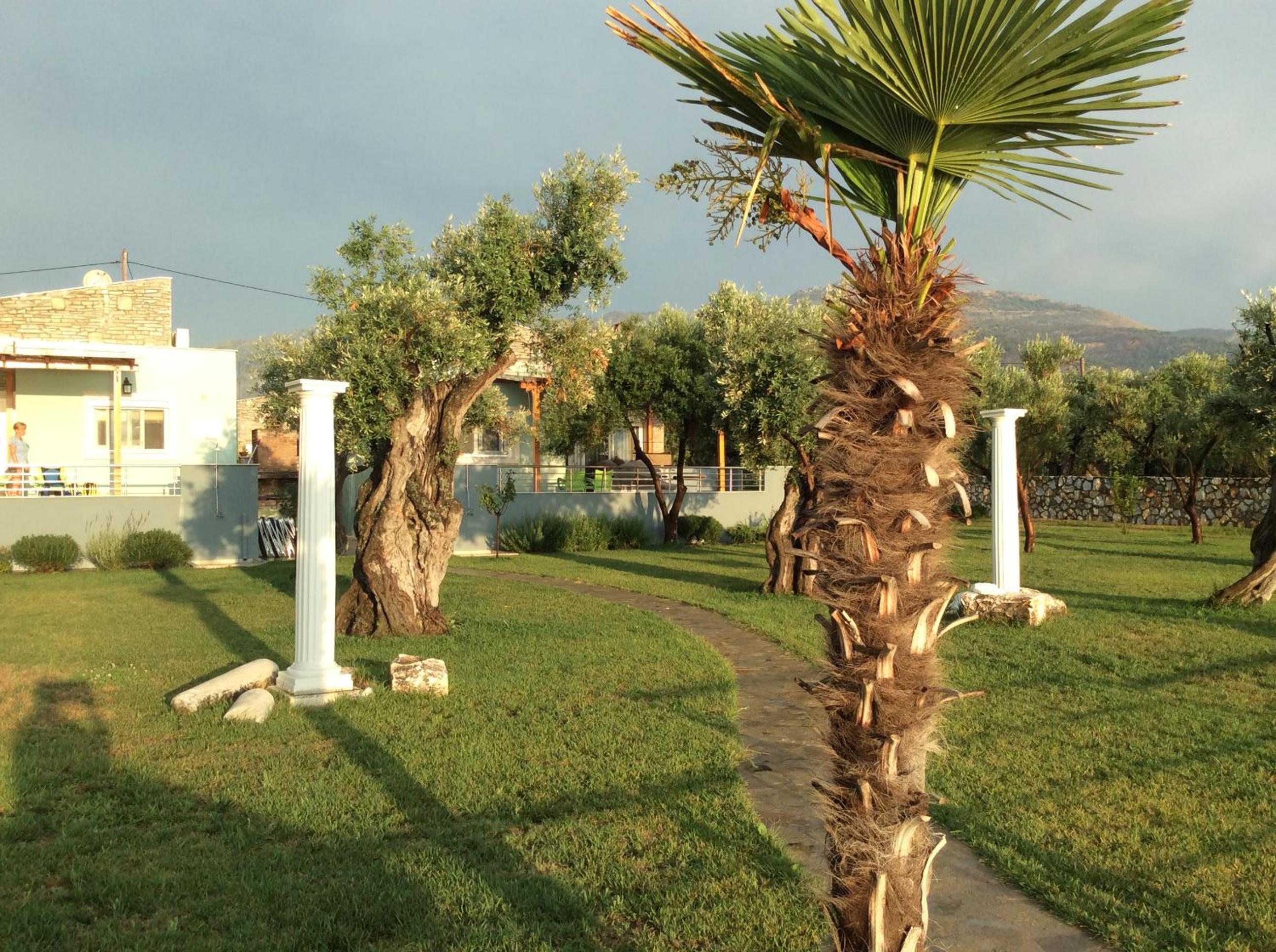 Photo 41