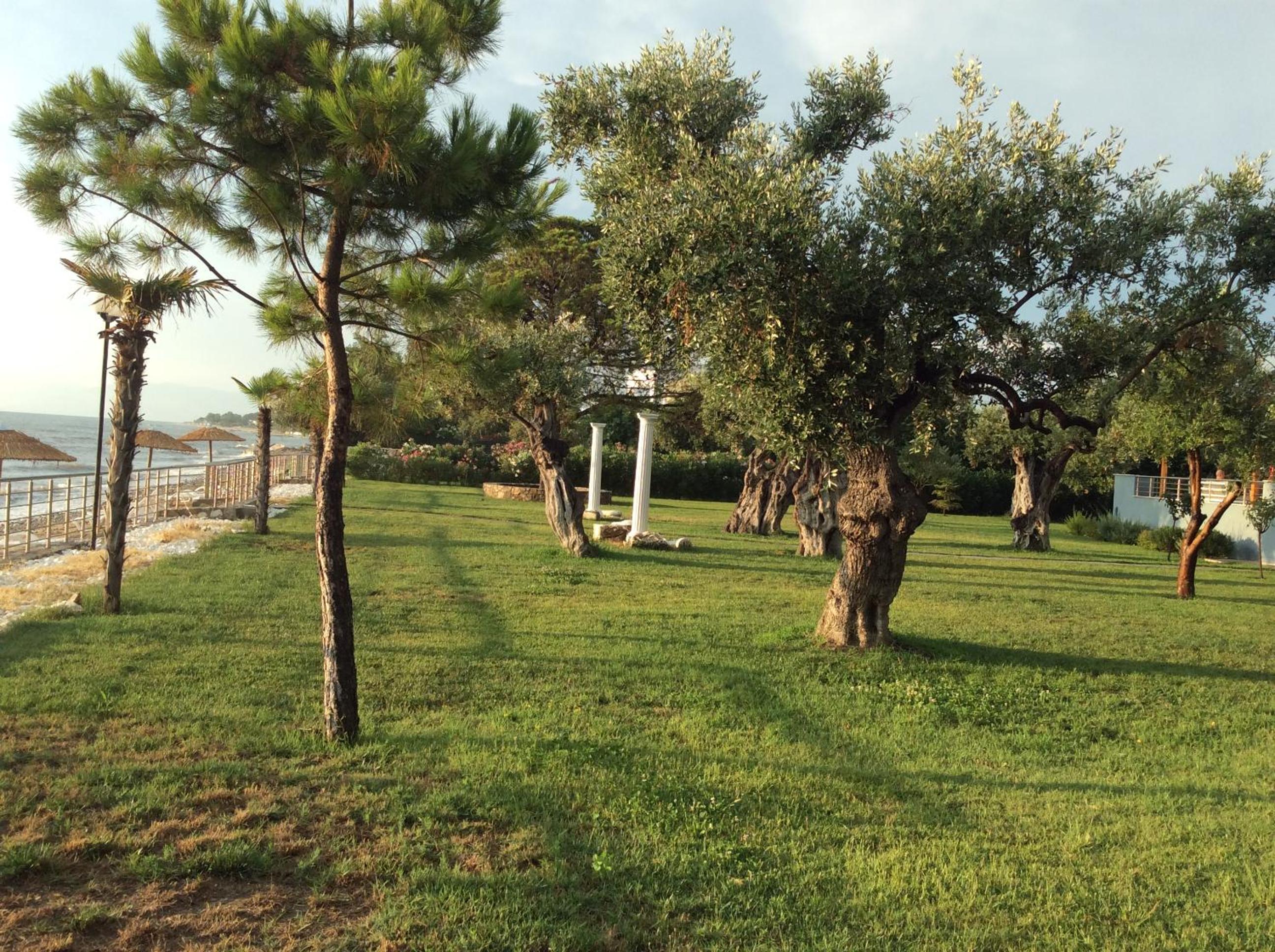 Photo 42