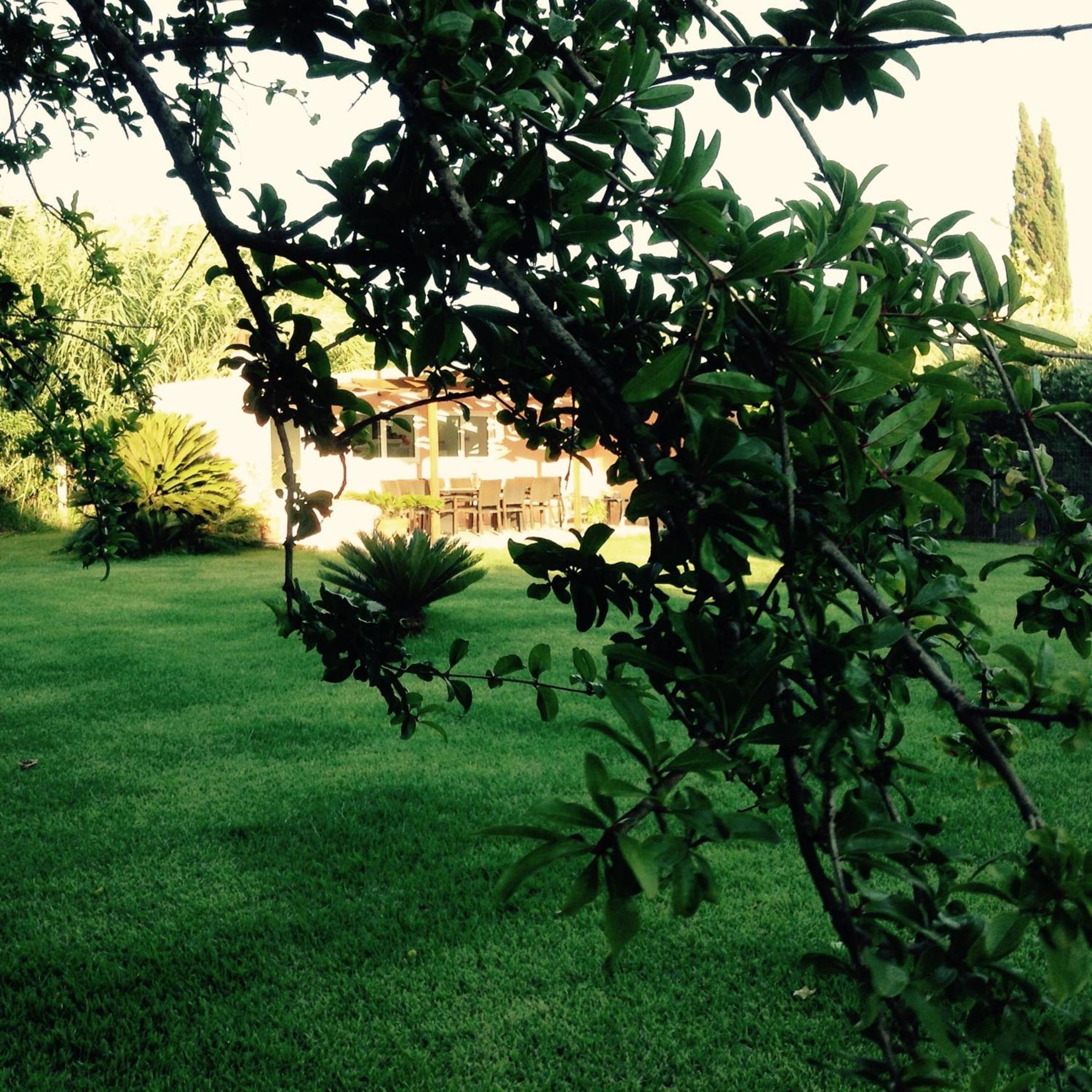 Photo 28