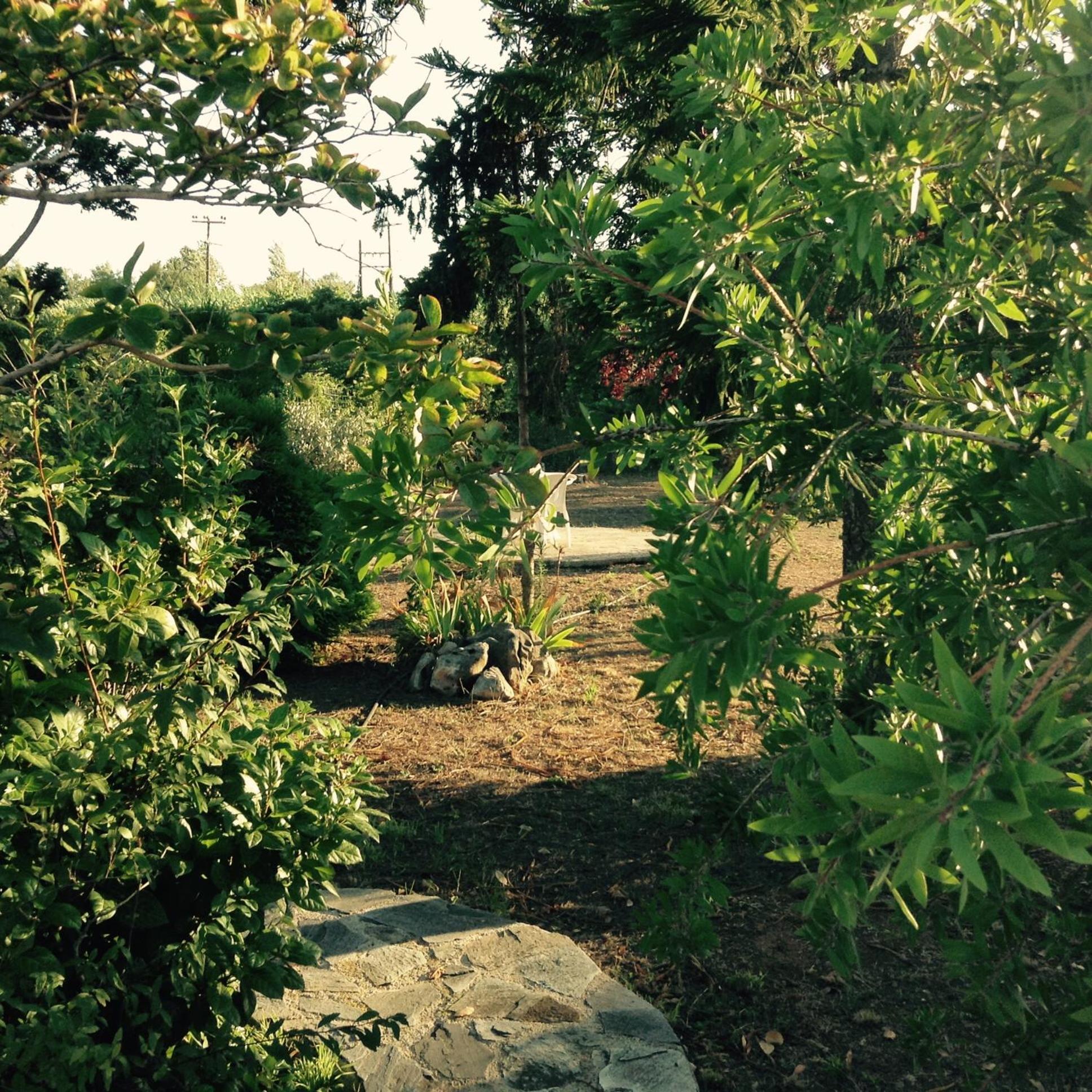 Photo 31