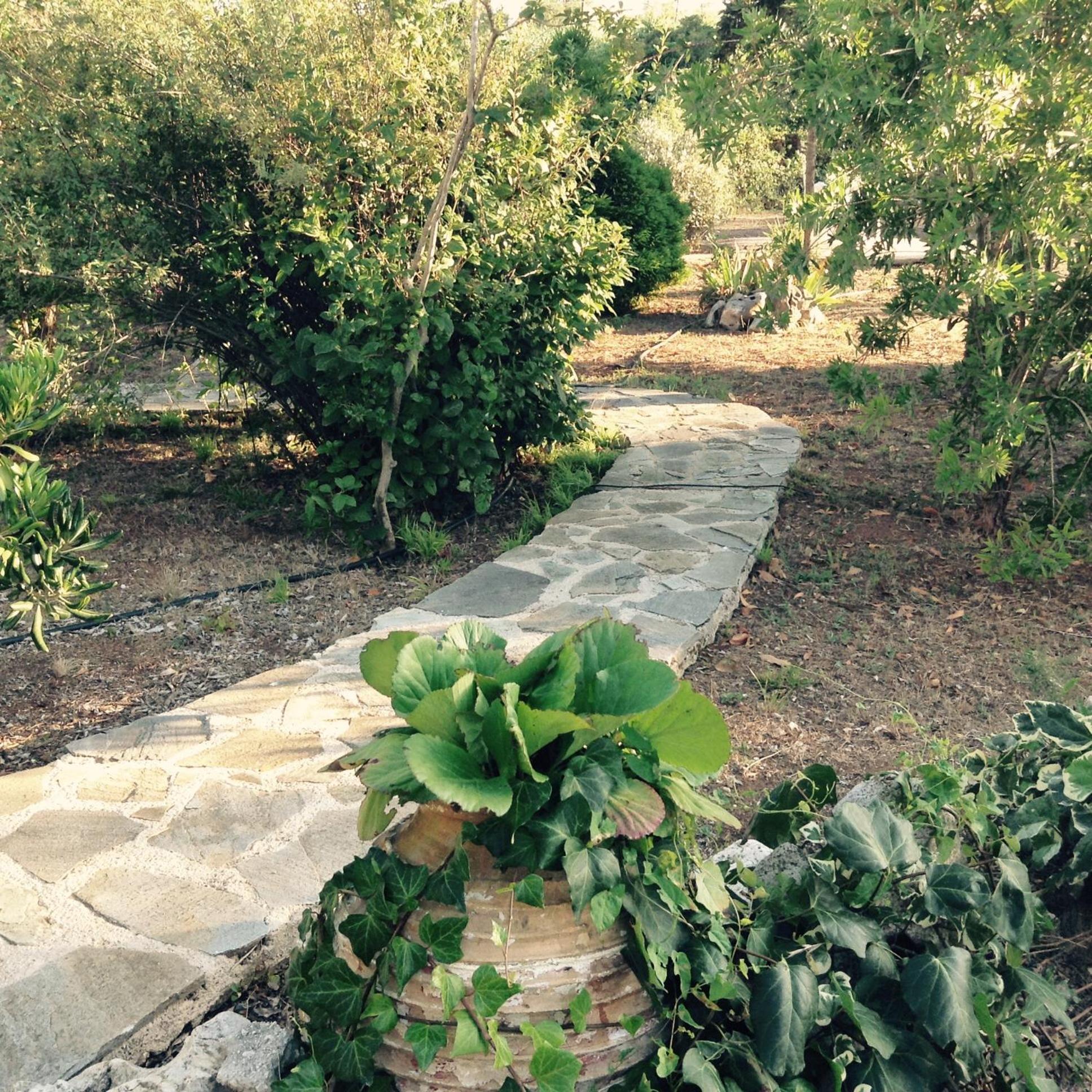 Photo 32