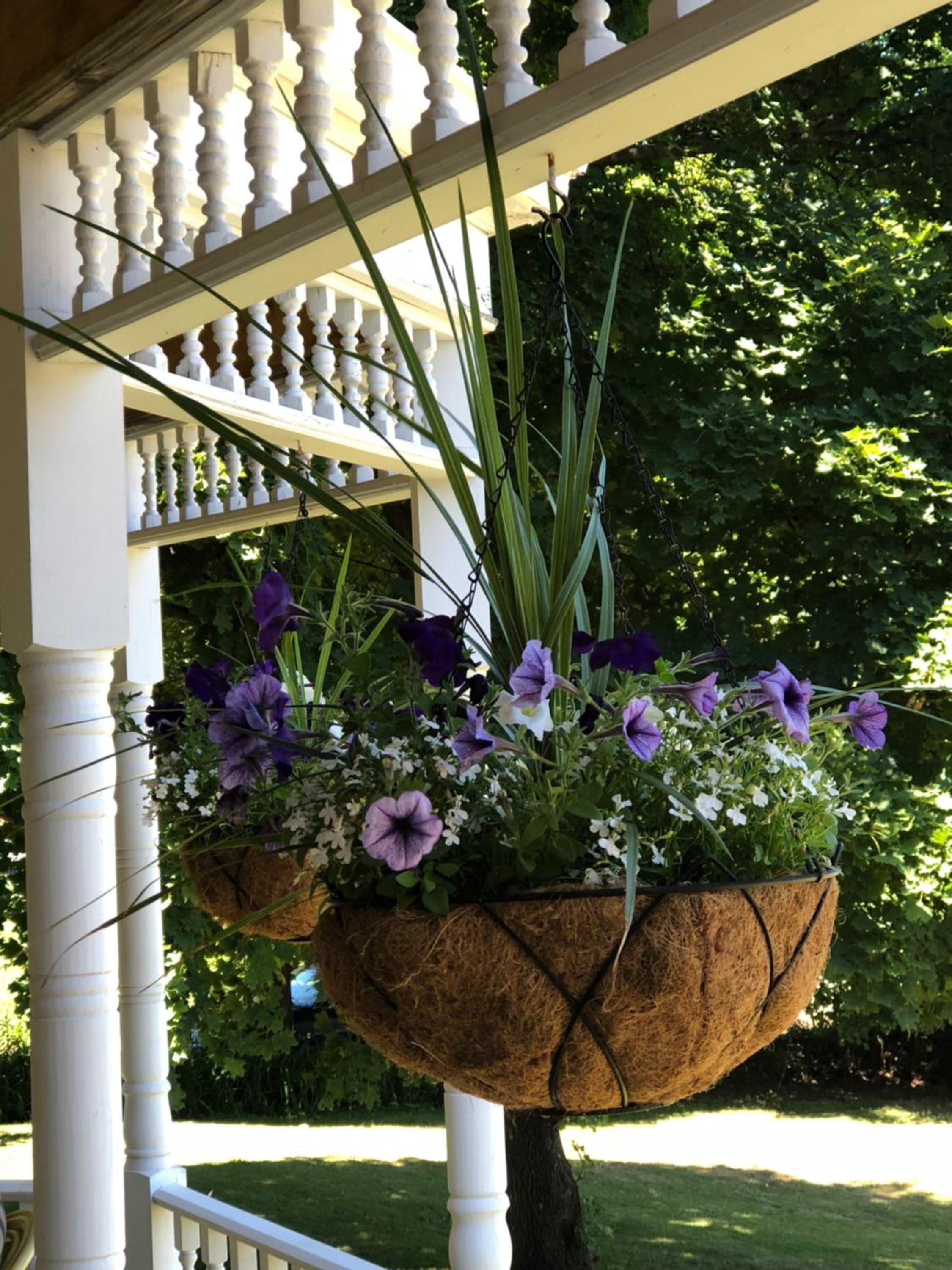Antique Rose Inn Windham