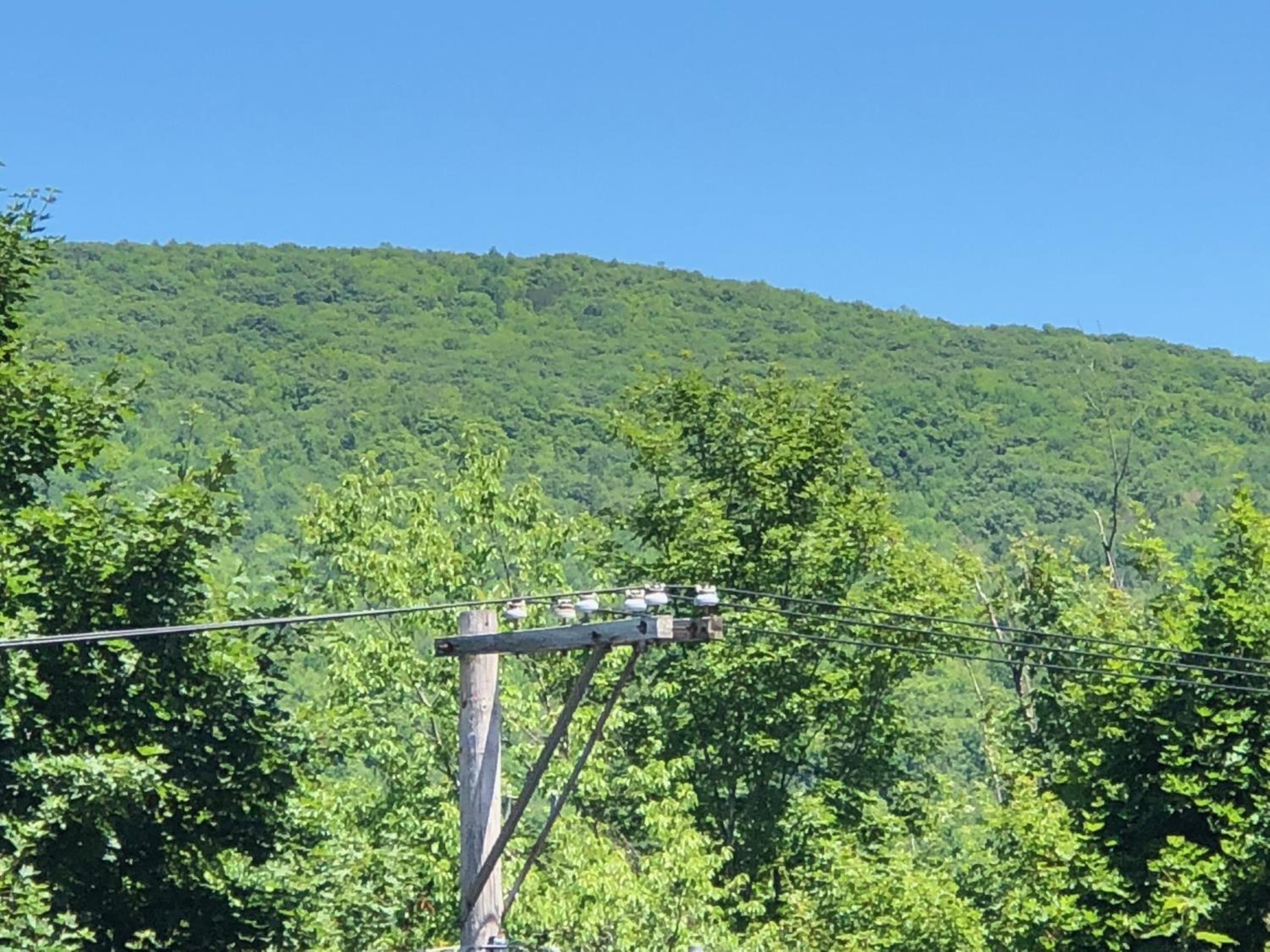 Antique Rose Inn Windham