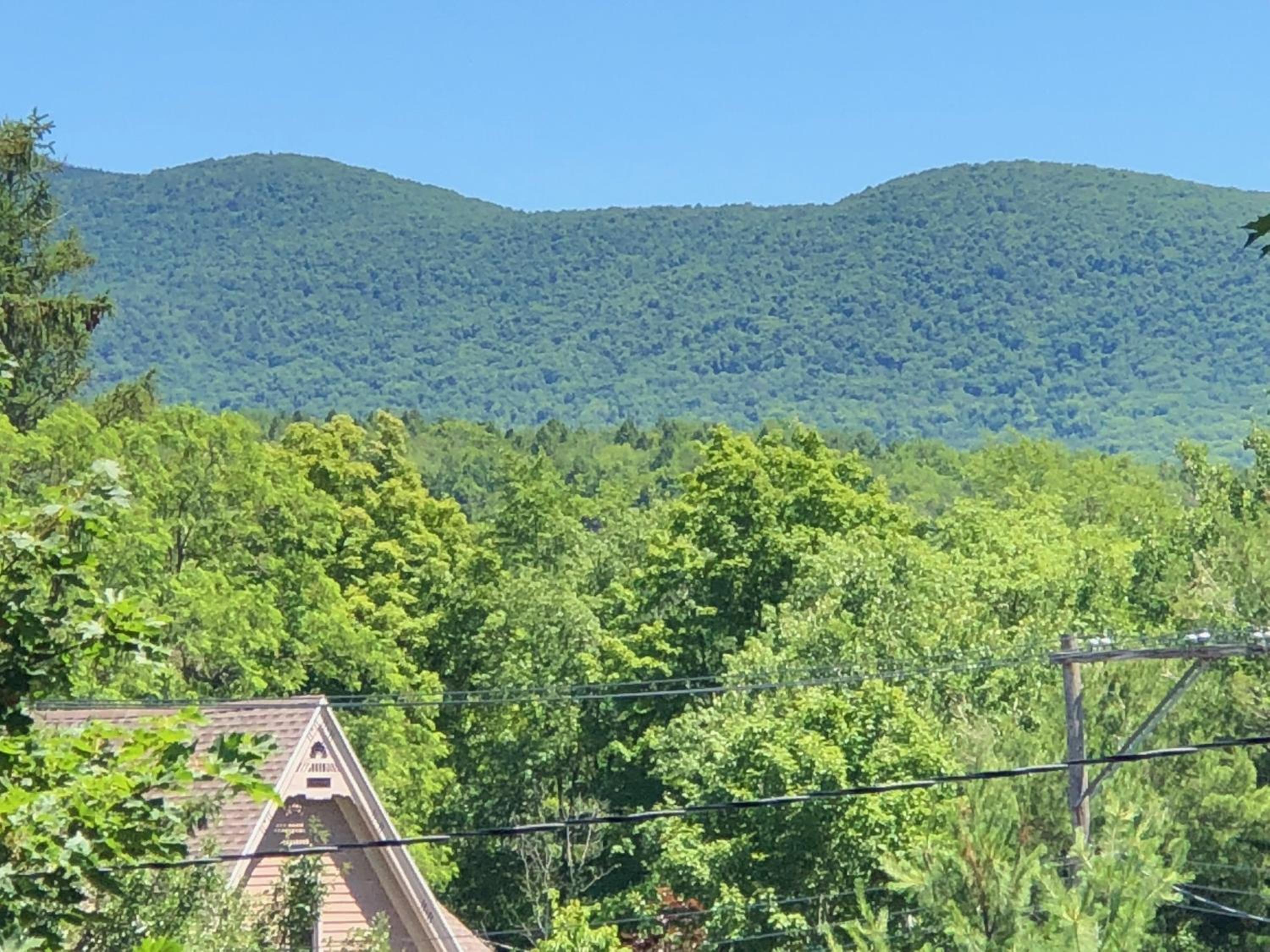 Antique Rose Inn Windham