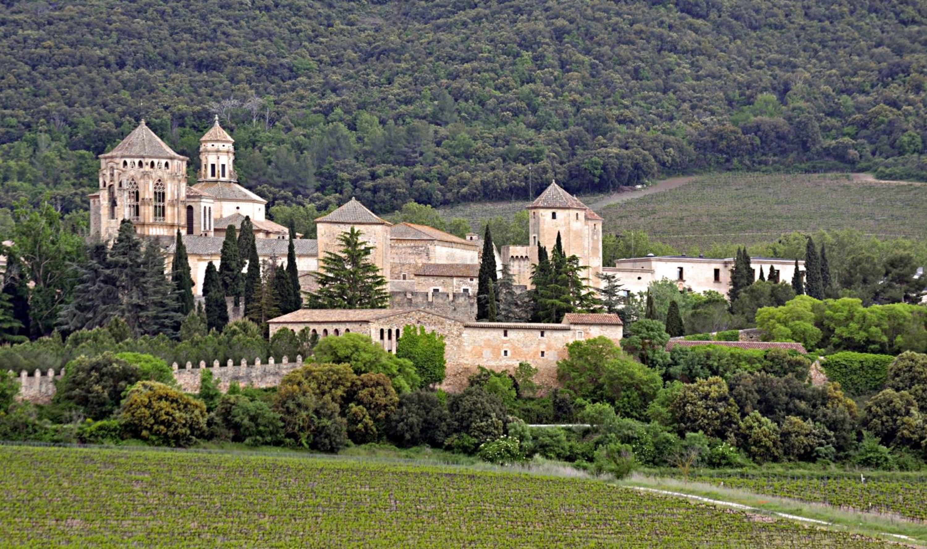 Abadia-4 view 5