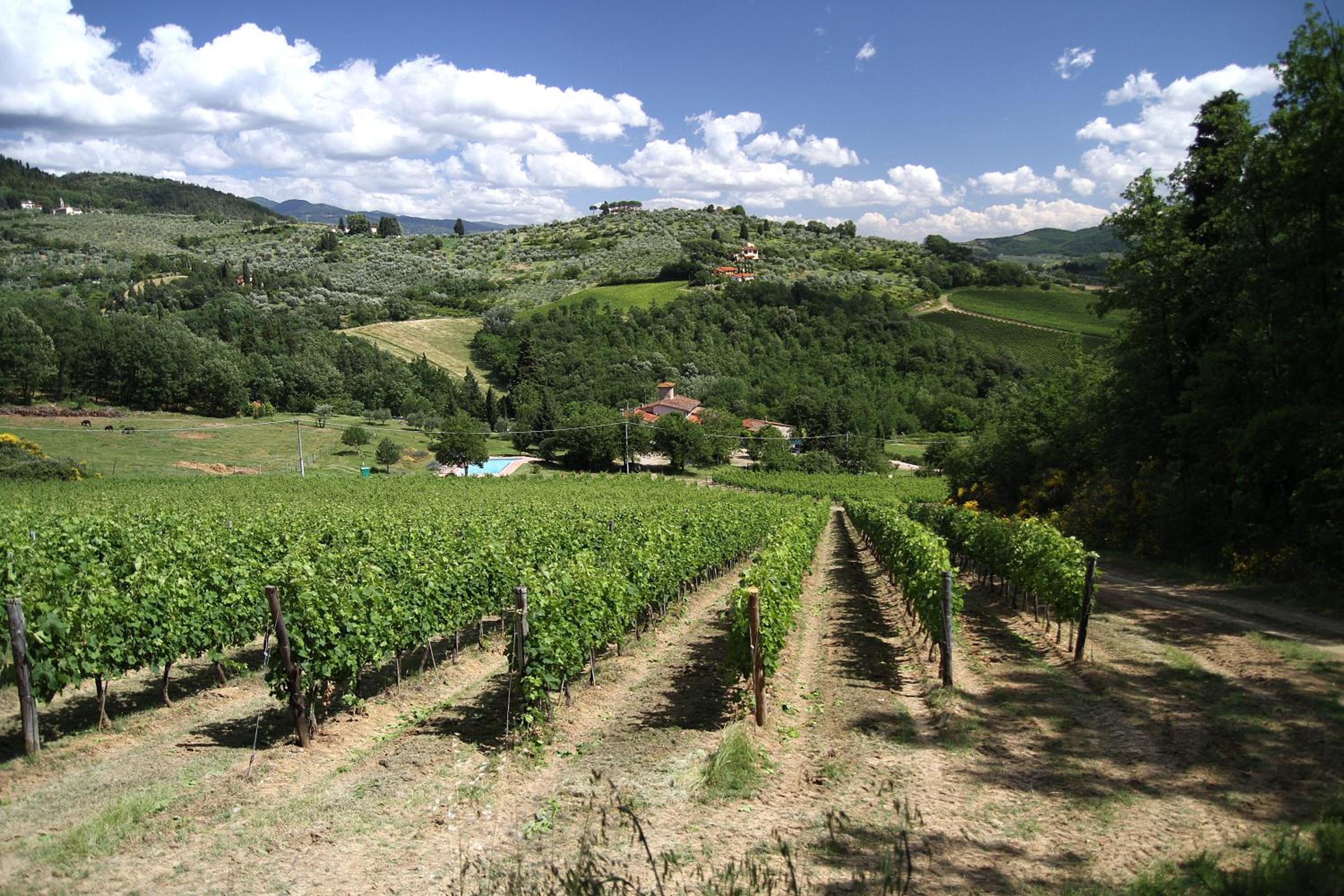 Podere Vignola