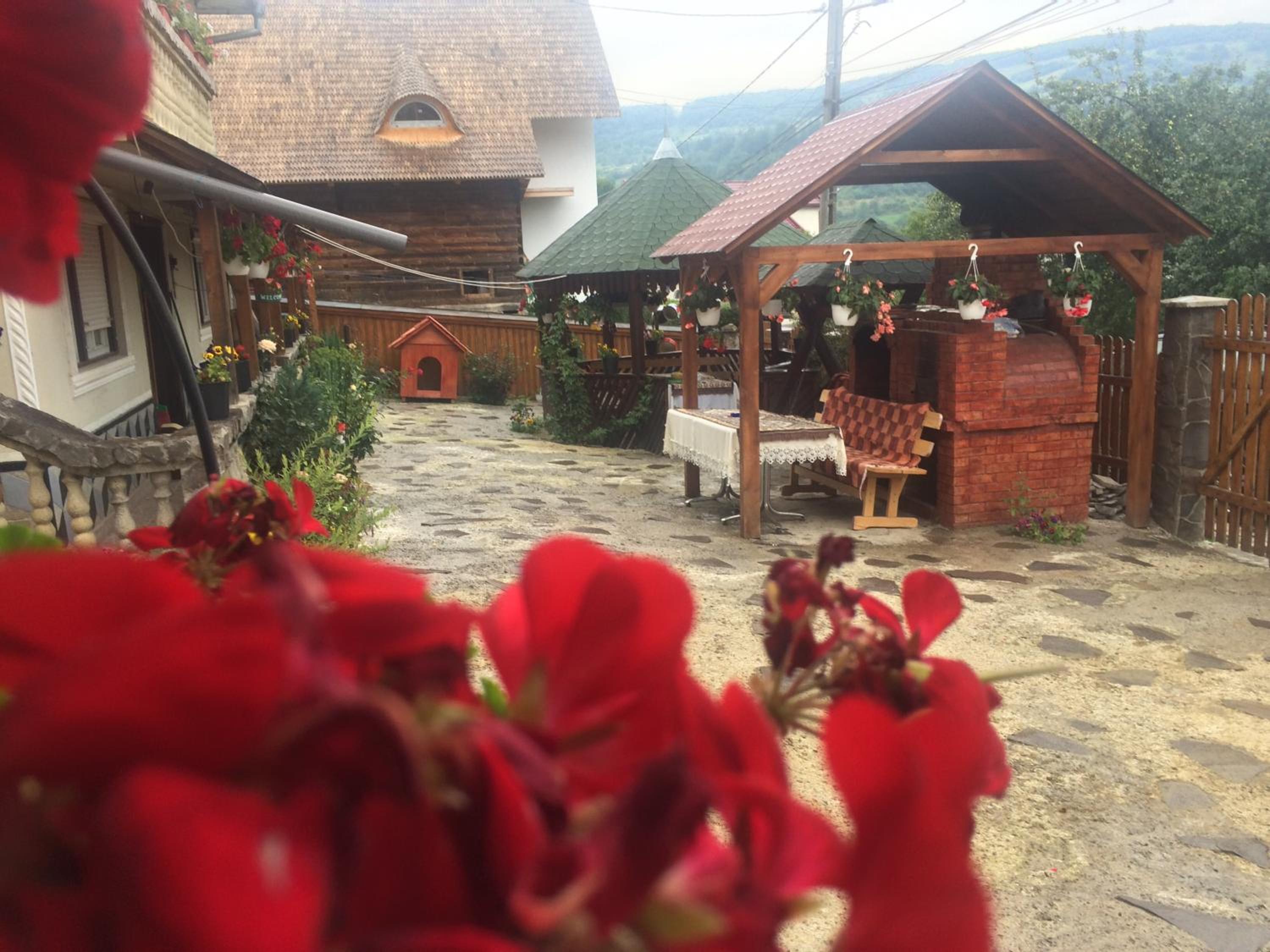 Photo 12