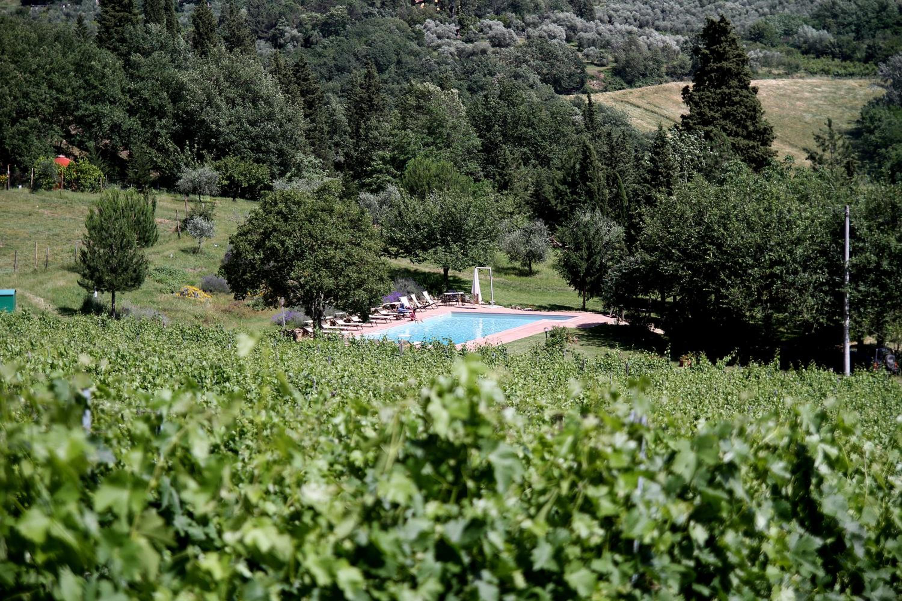 Podere Vignola