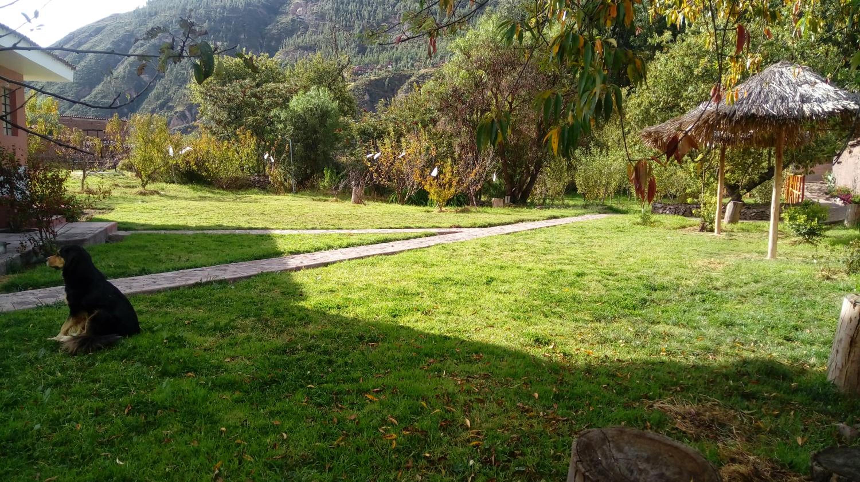 Photo 26