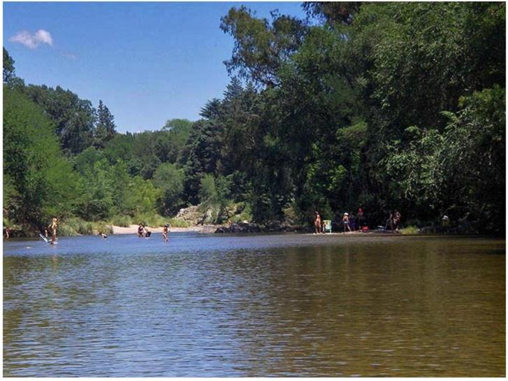 Cabanas los lirios