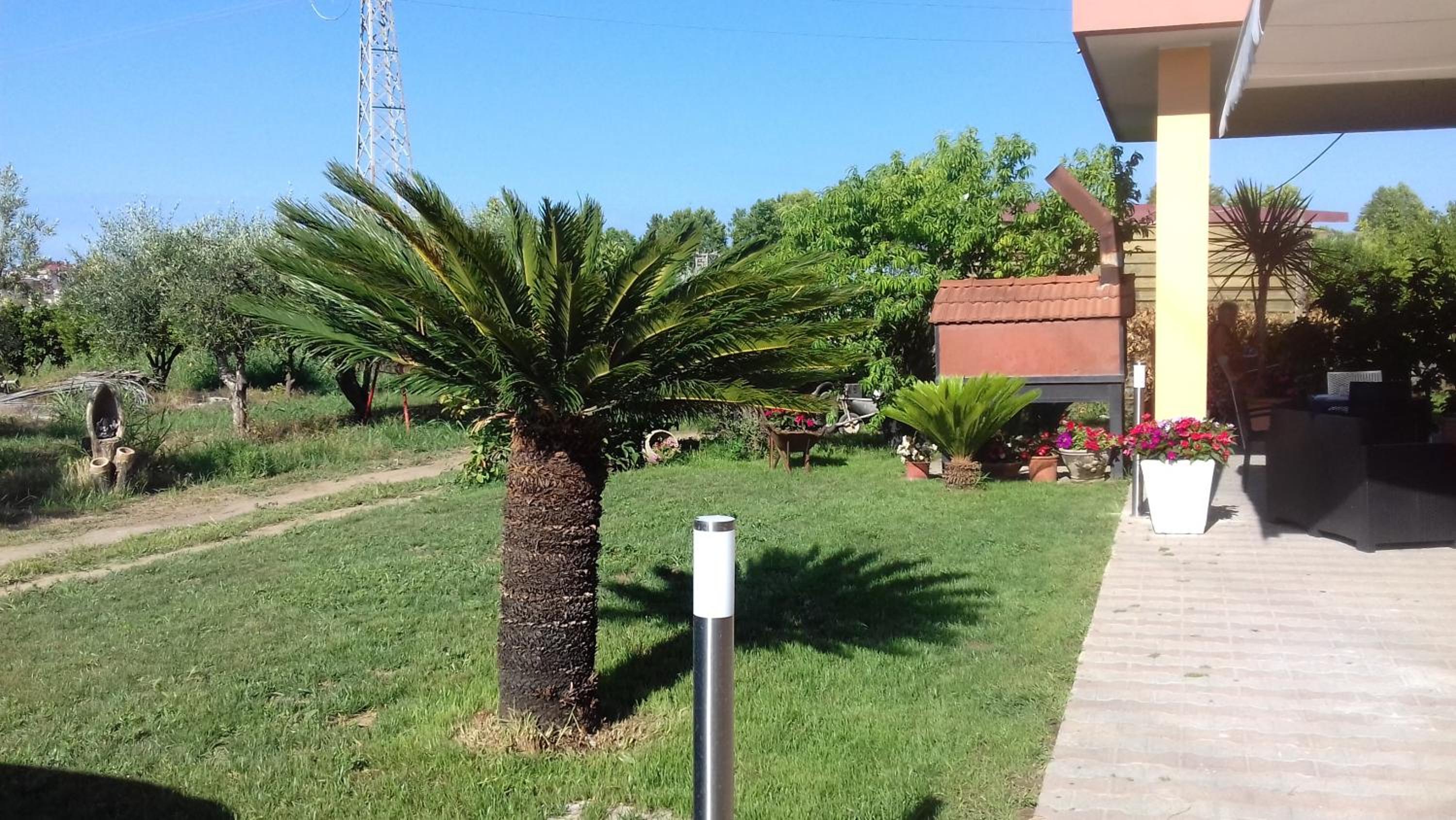 Photo 26