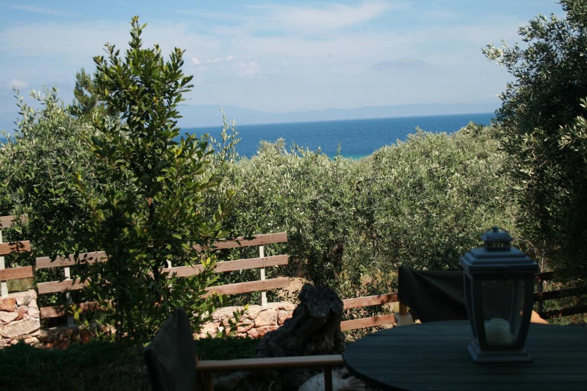 Thalassa Apartment photo 3