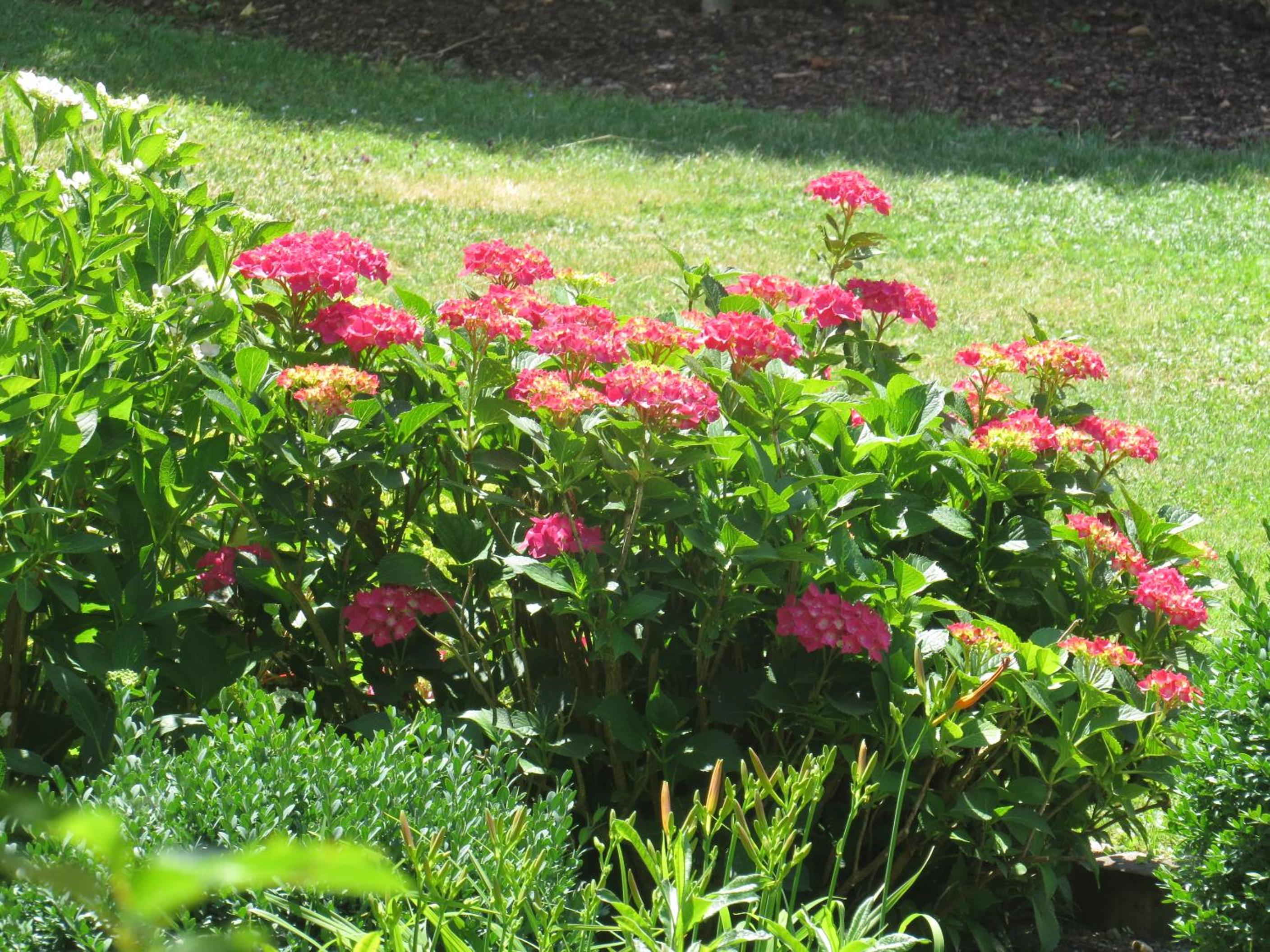 Appartementhaus Silvia