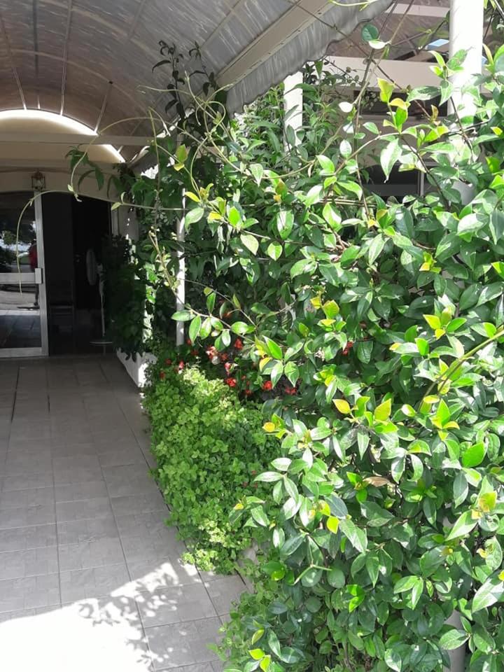 Hotel Florakis