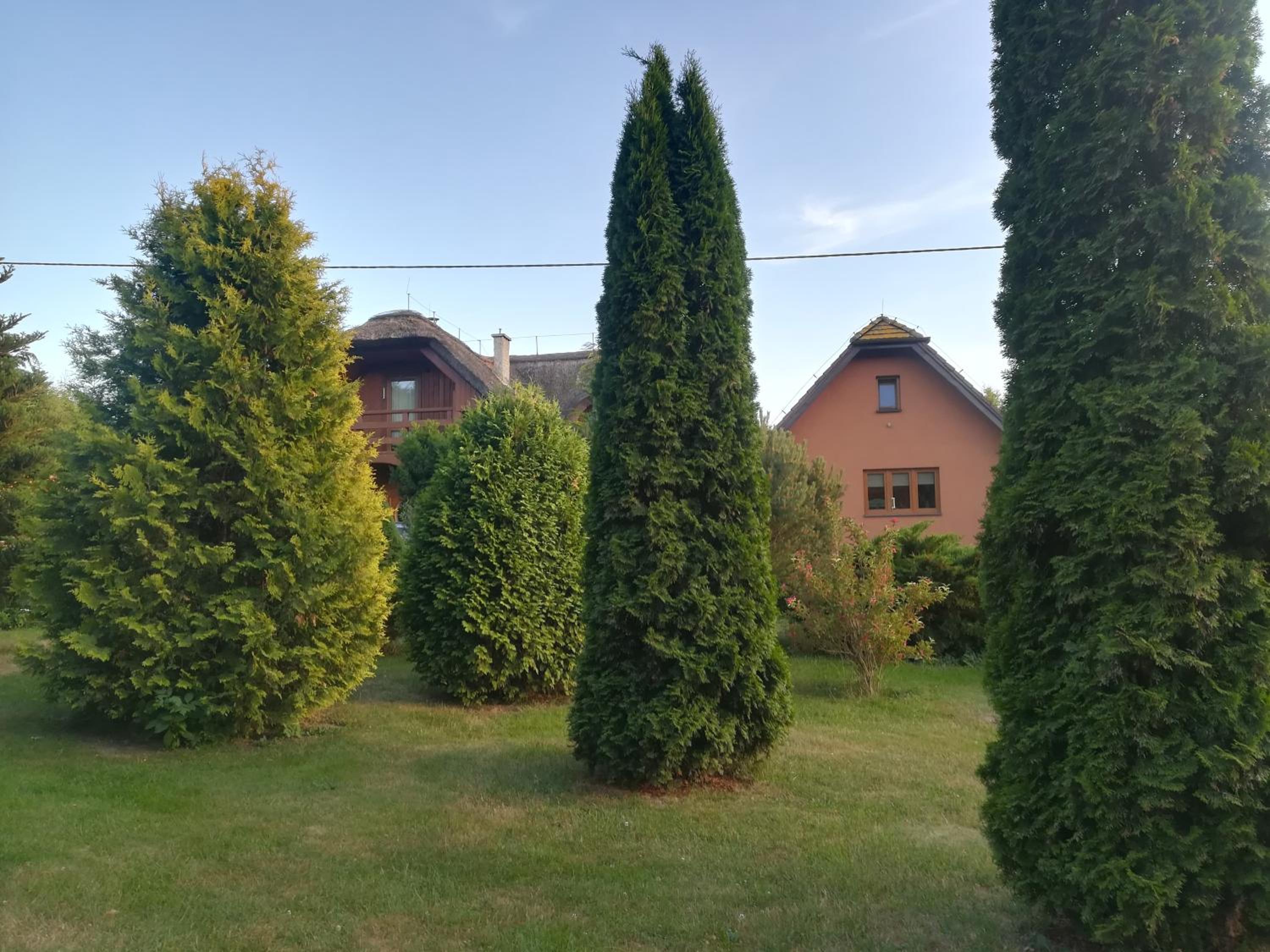 Photo 52