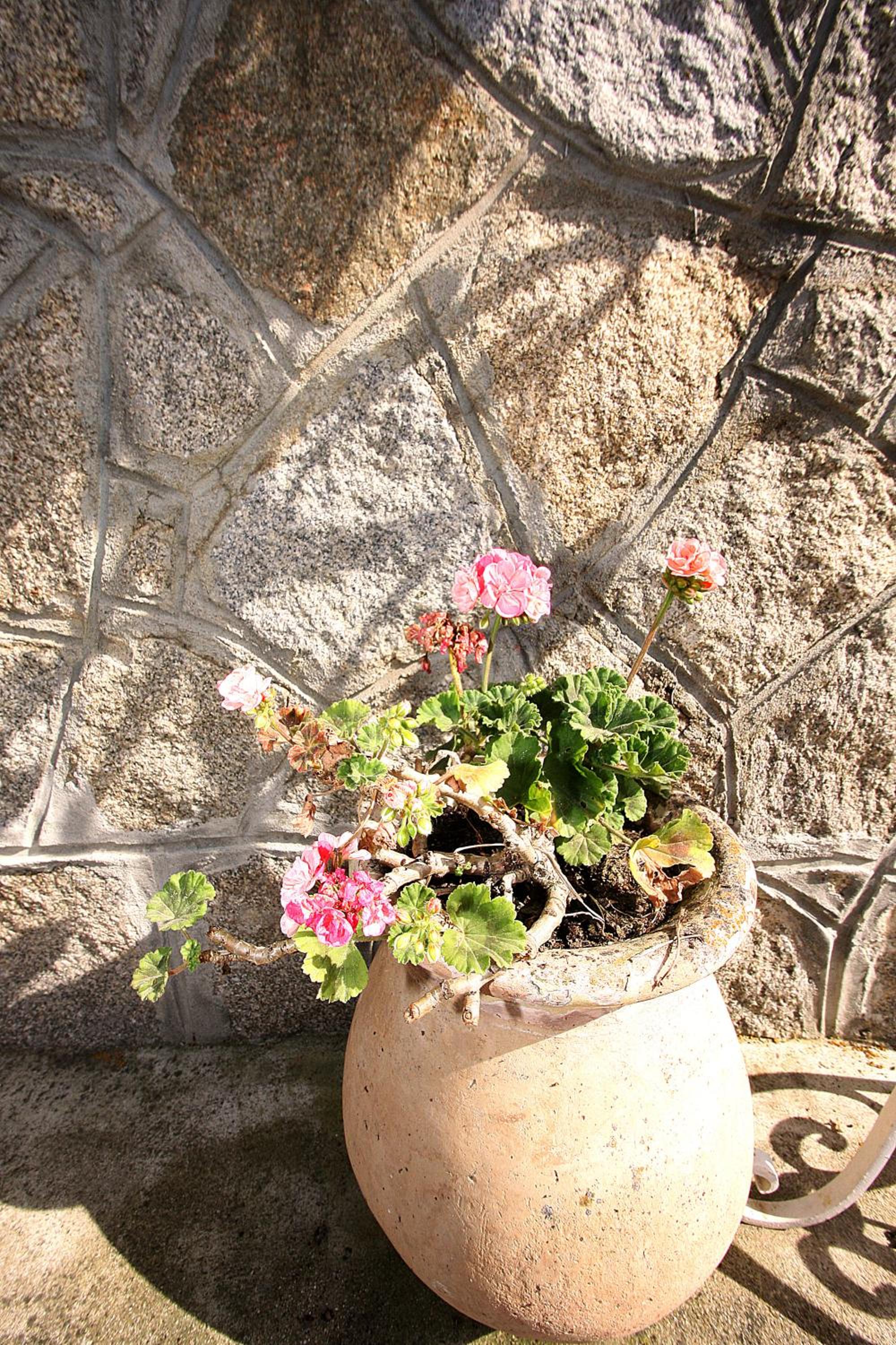 Photo 45