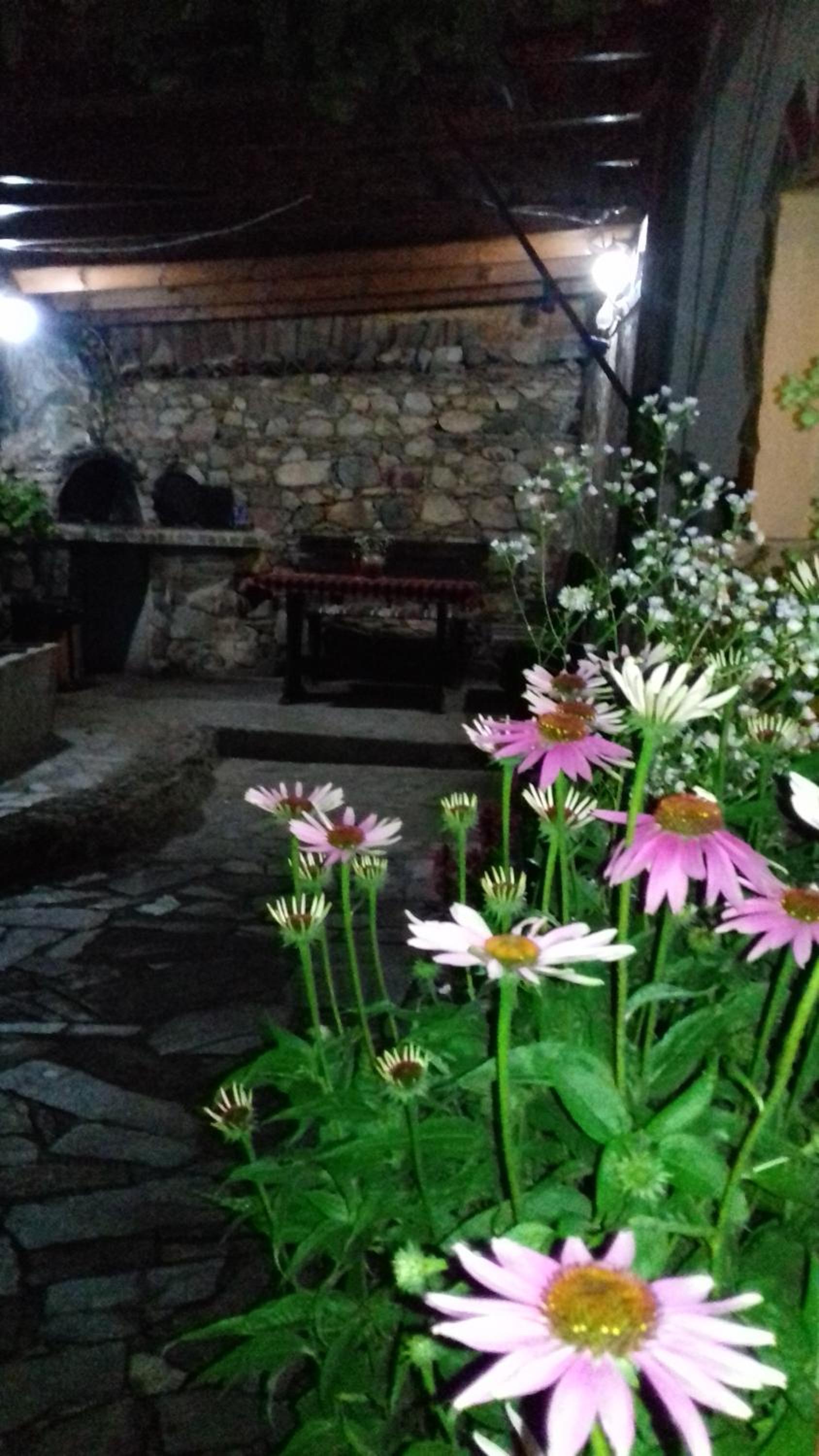 The House in Shipka