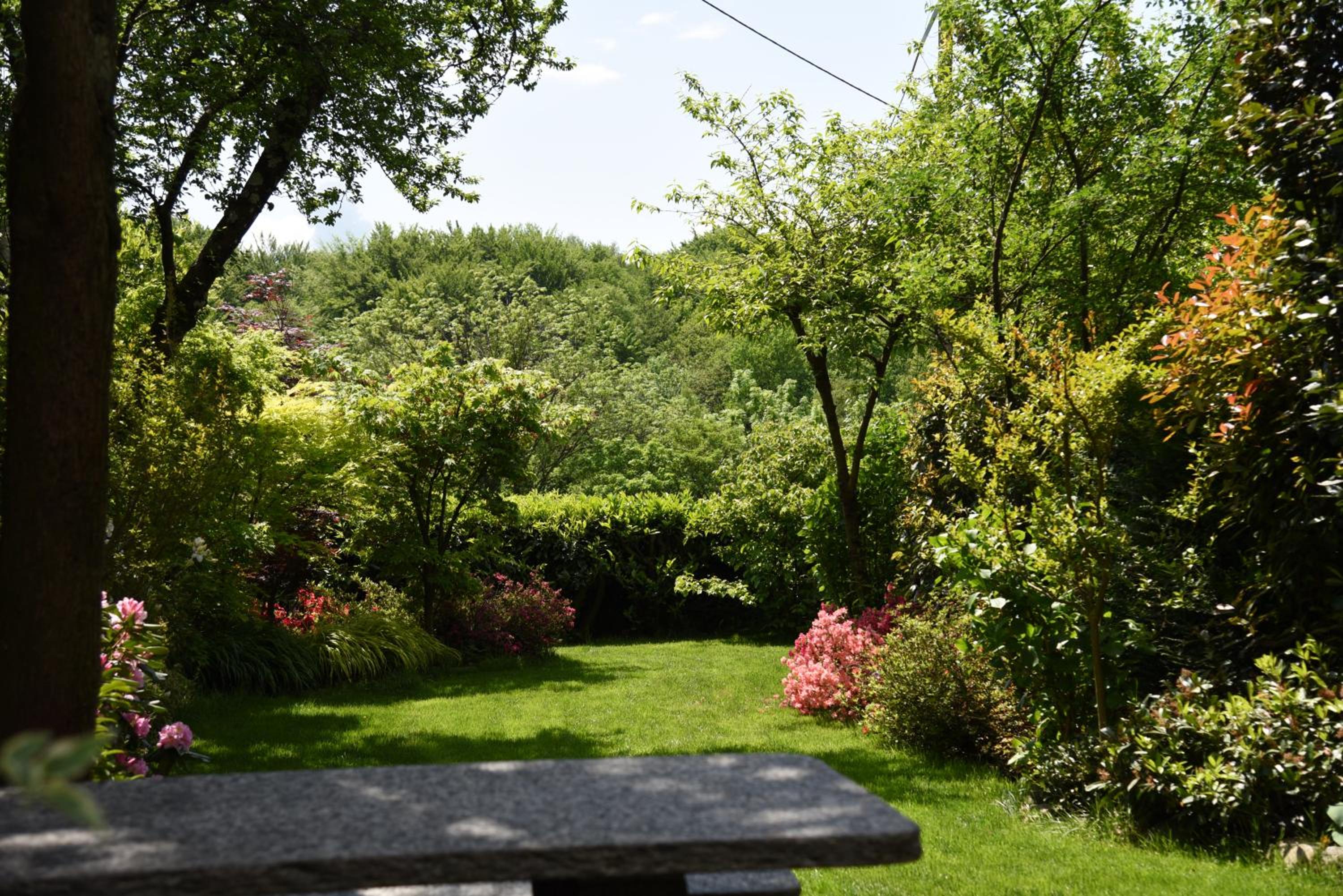 Chez Marianne 