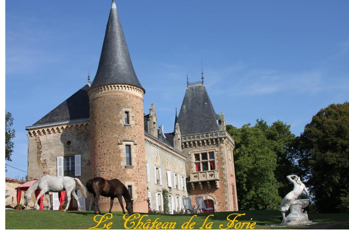 Château de la Forie view 2