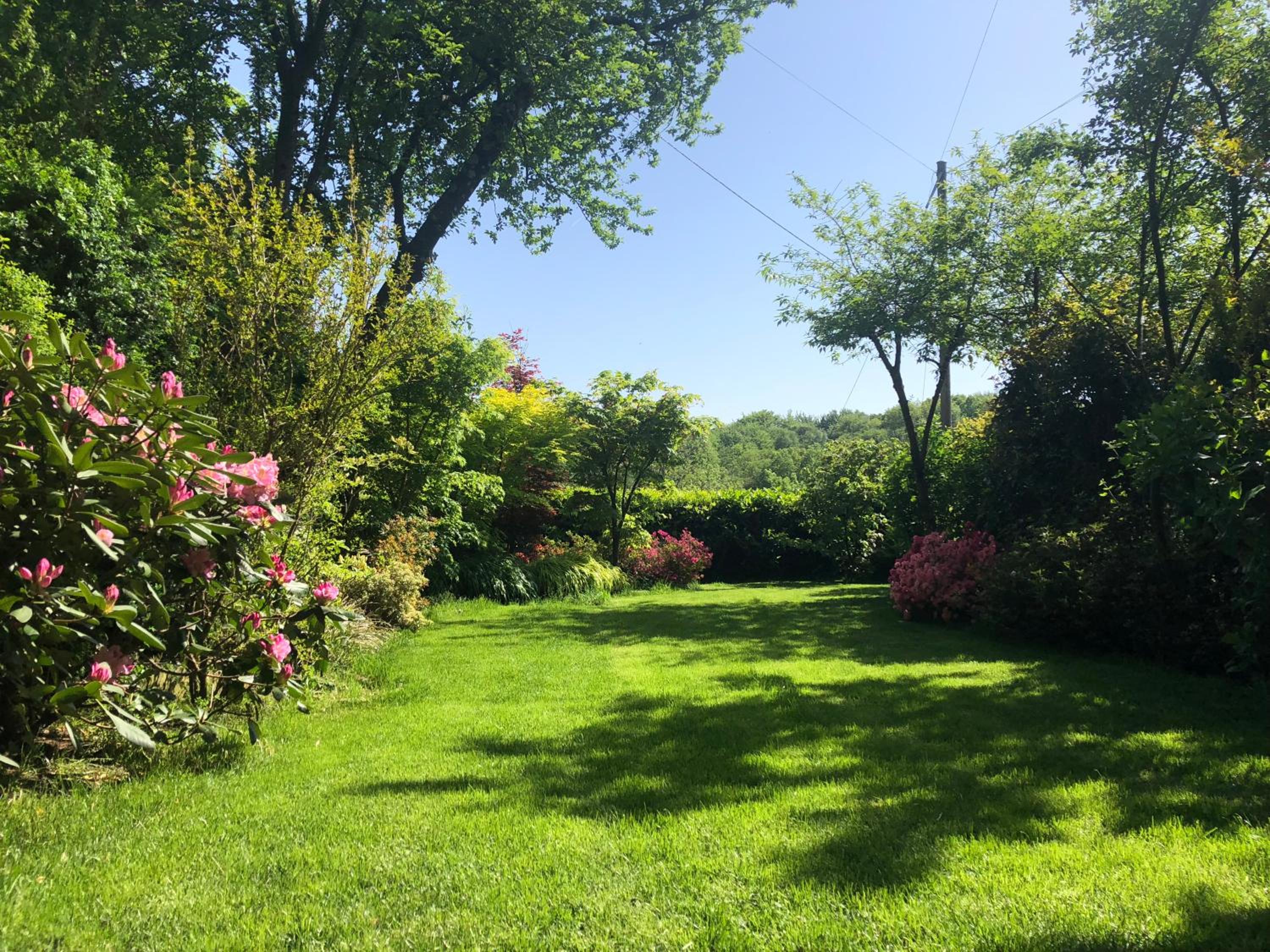 Chez Marianne 