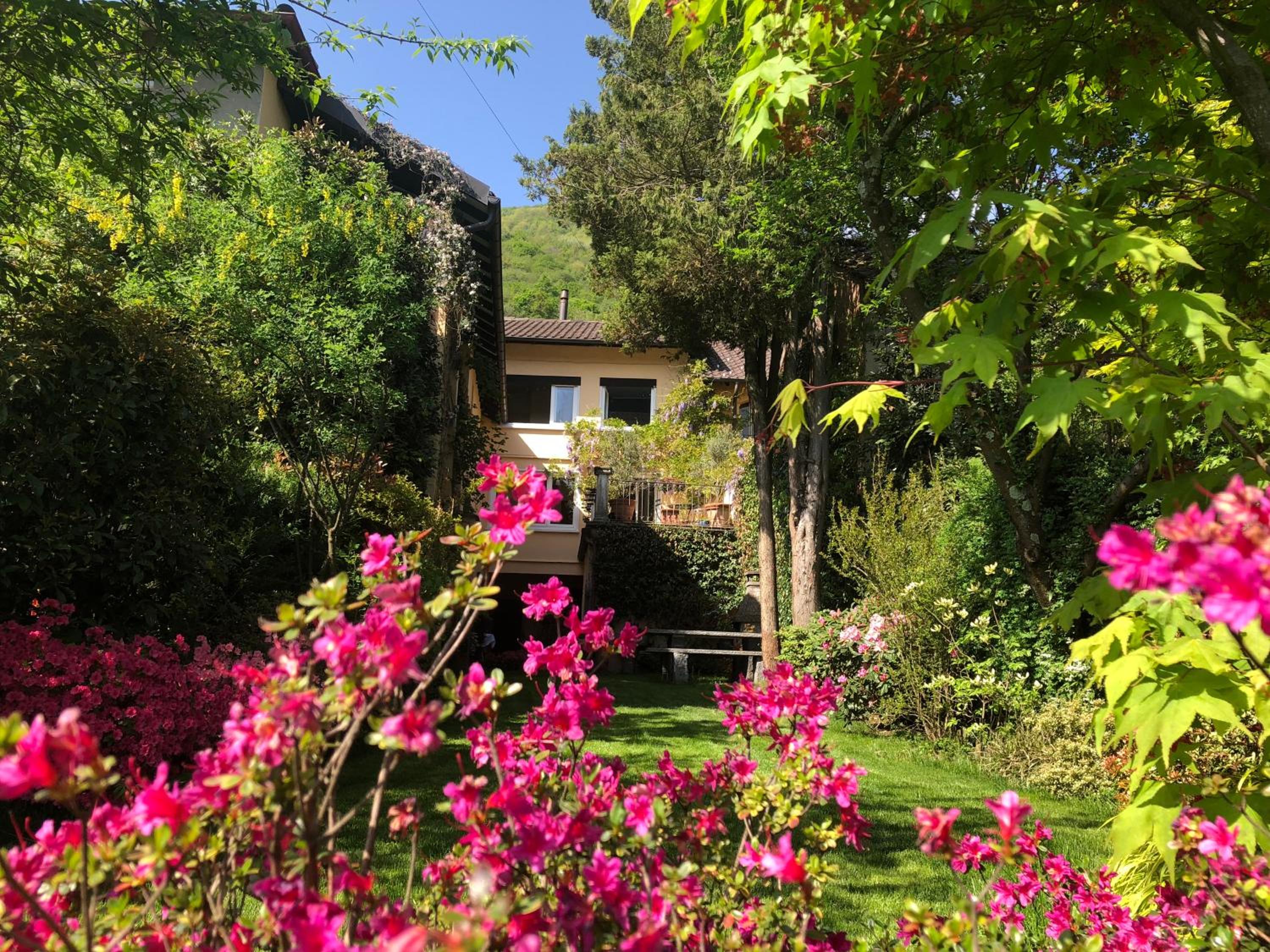 Chez Marianne 