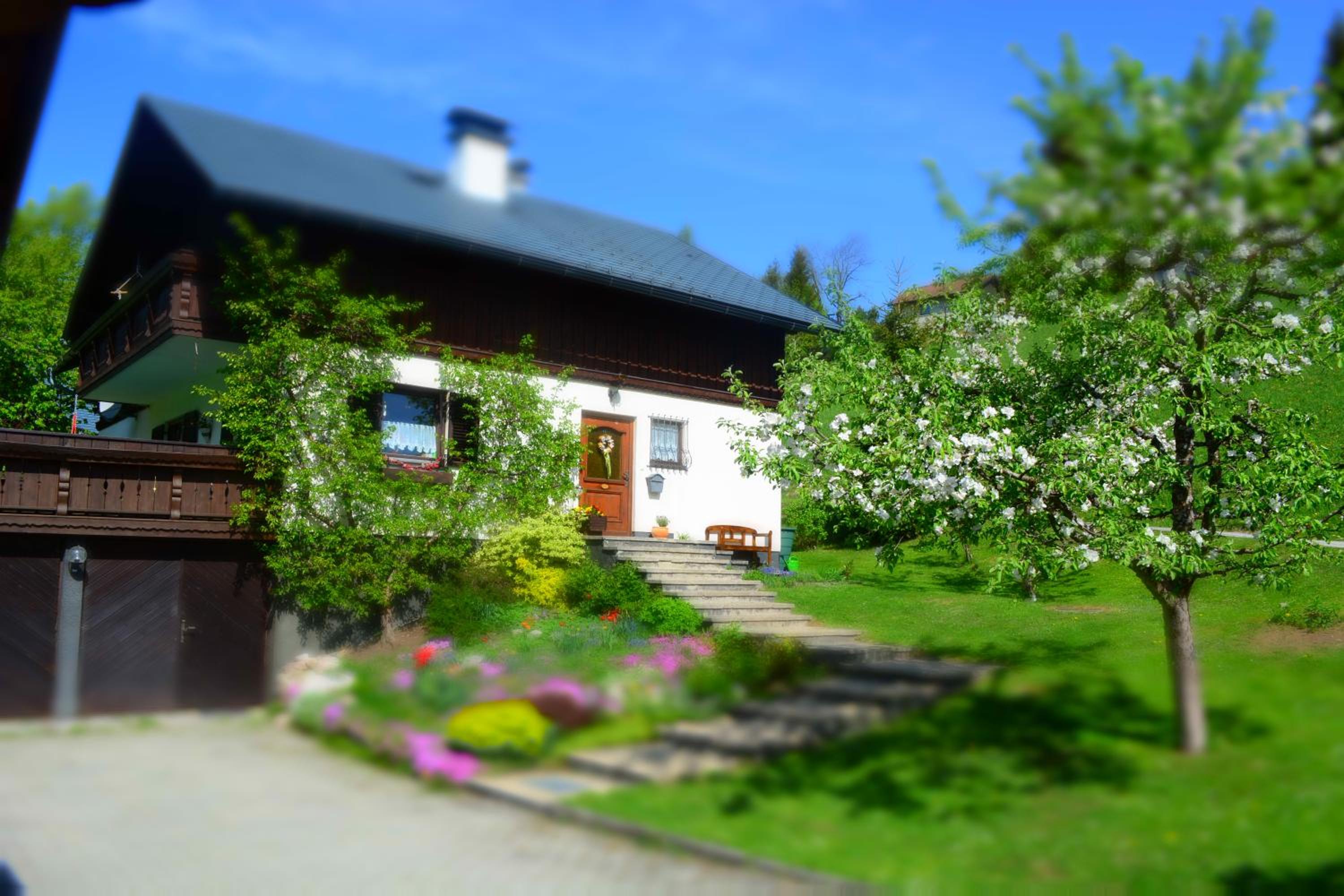 Apartment Ivkadan
