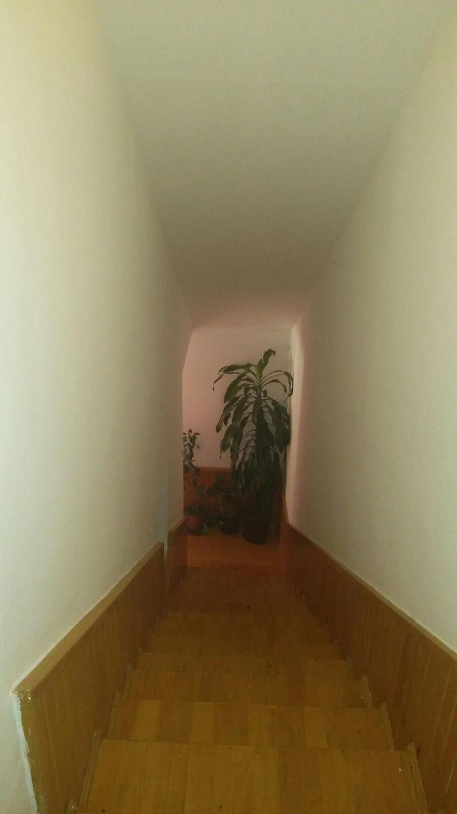 Apartman Ela