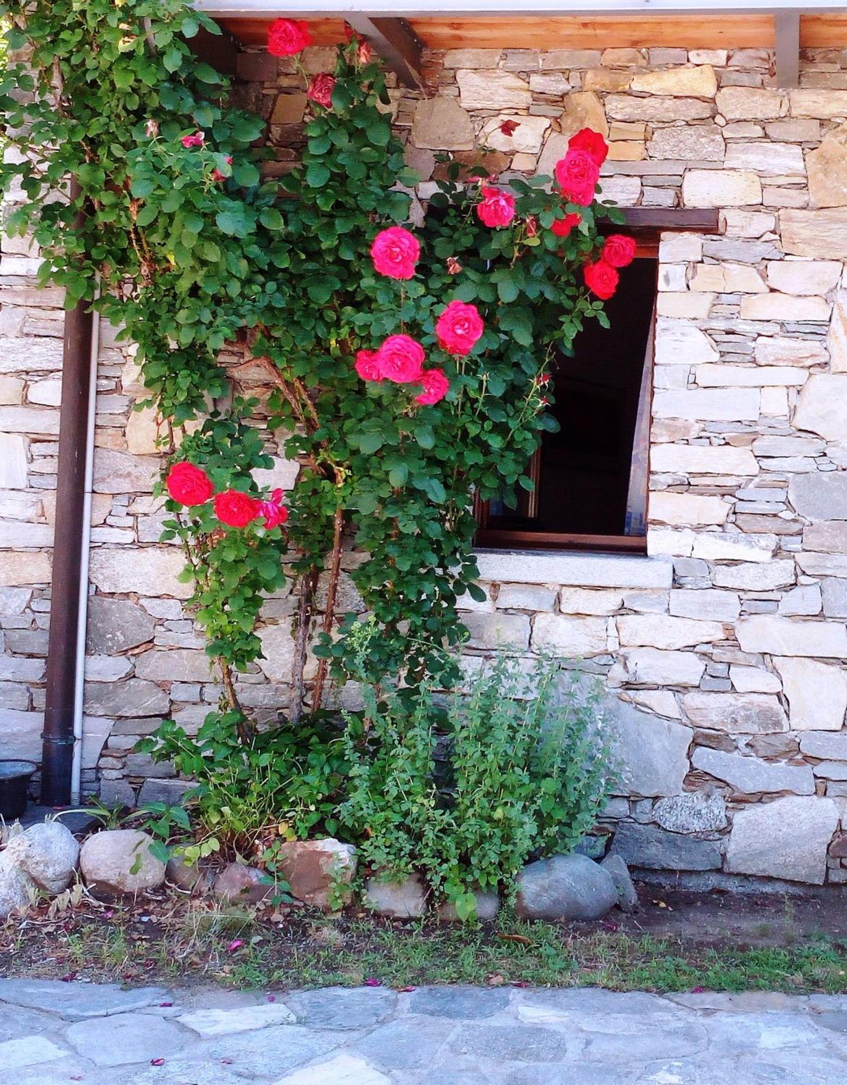 Casa Cicala view 3