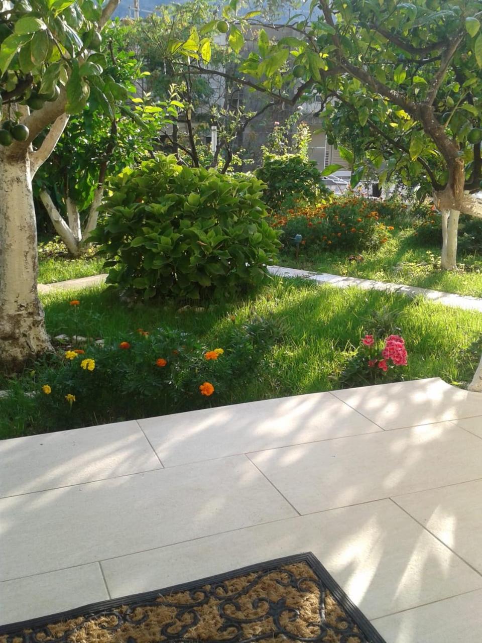 Kotor Kelly Apartments view 5