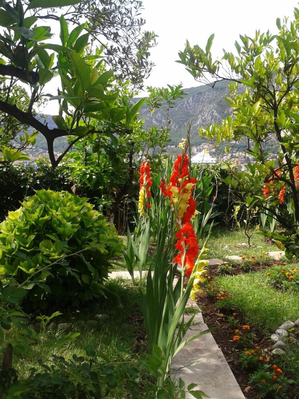 Kotor Kelly Apartments view 3