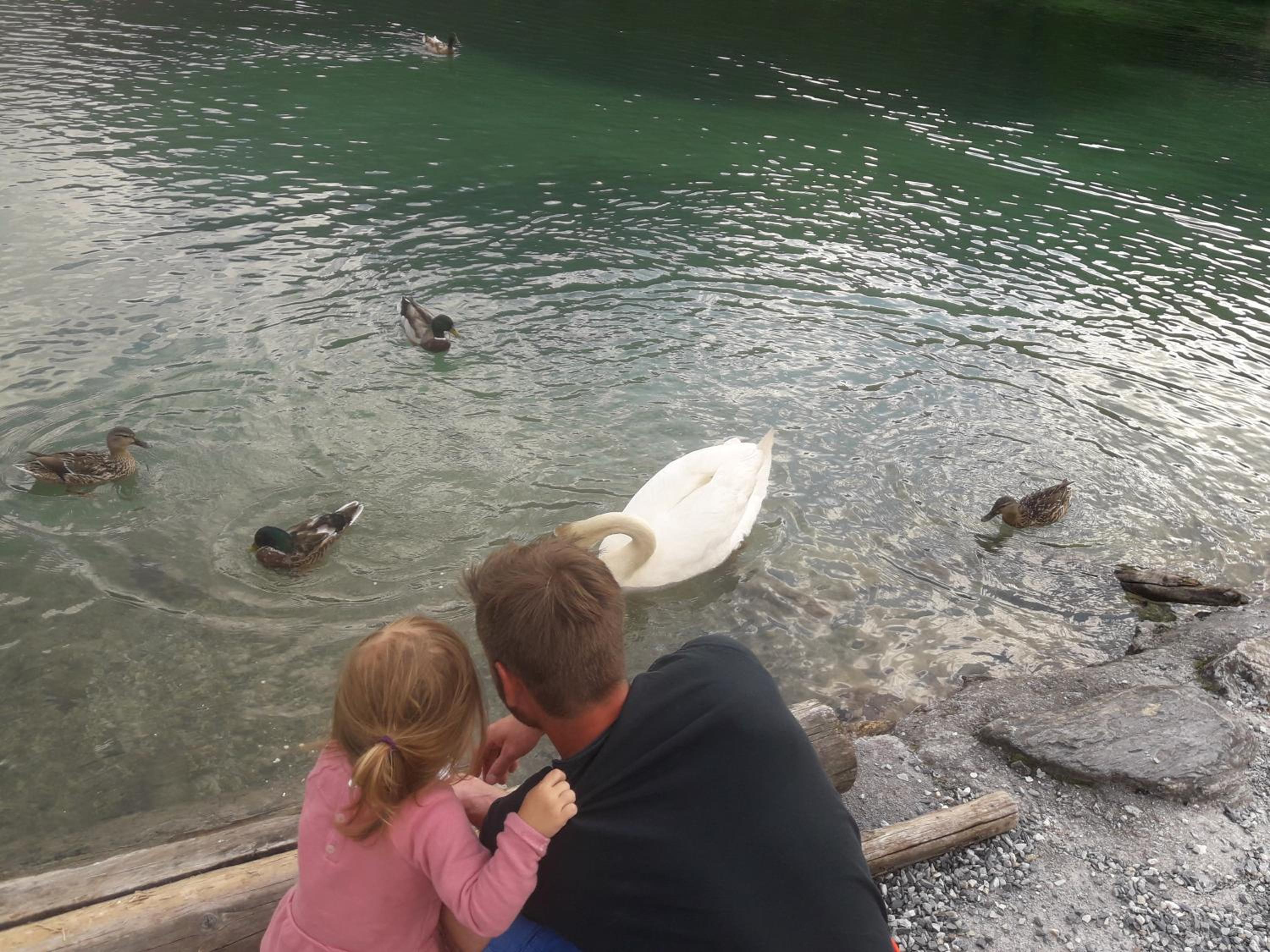 Pension Chalet Bergseegut
