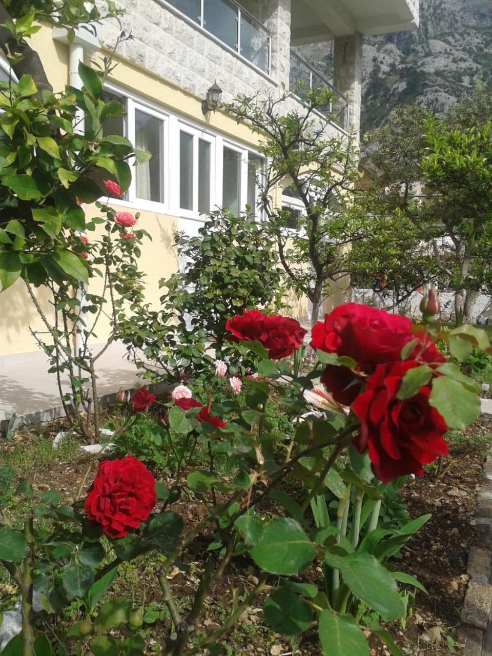 Photo 43