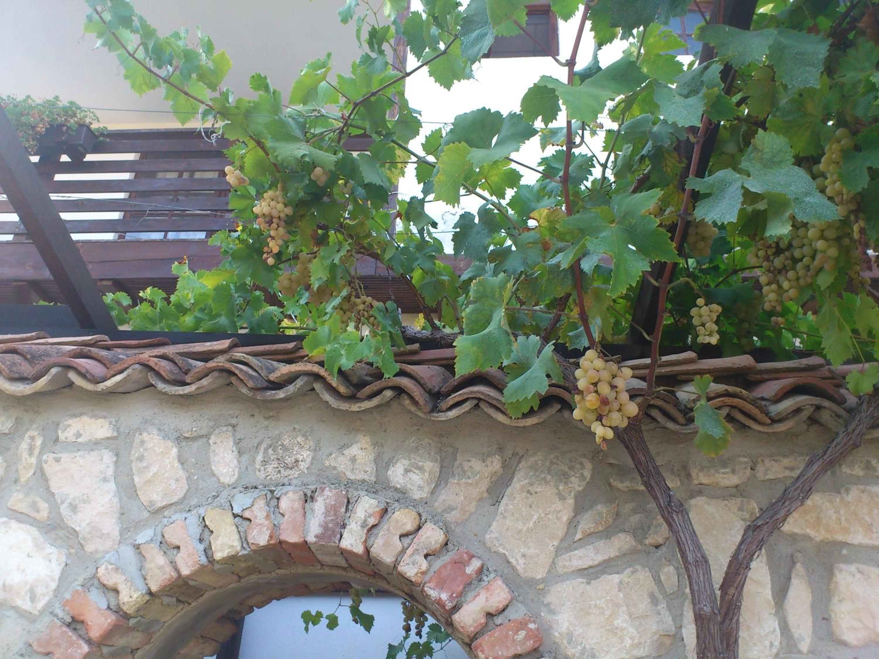 Villa Nasco