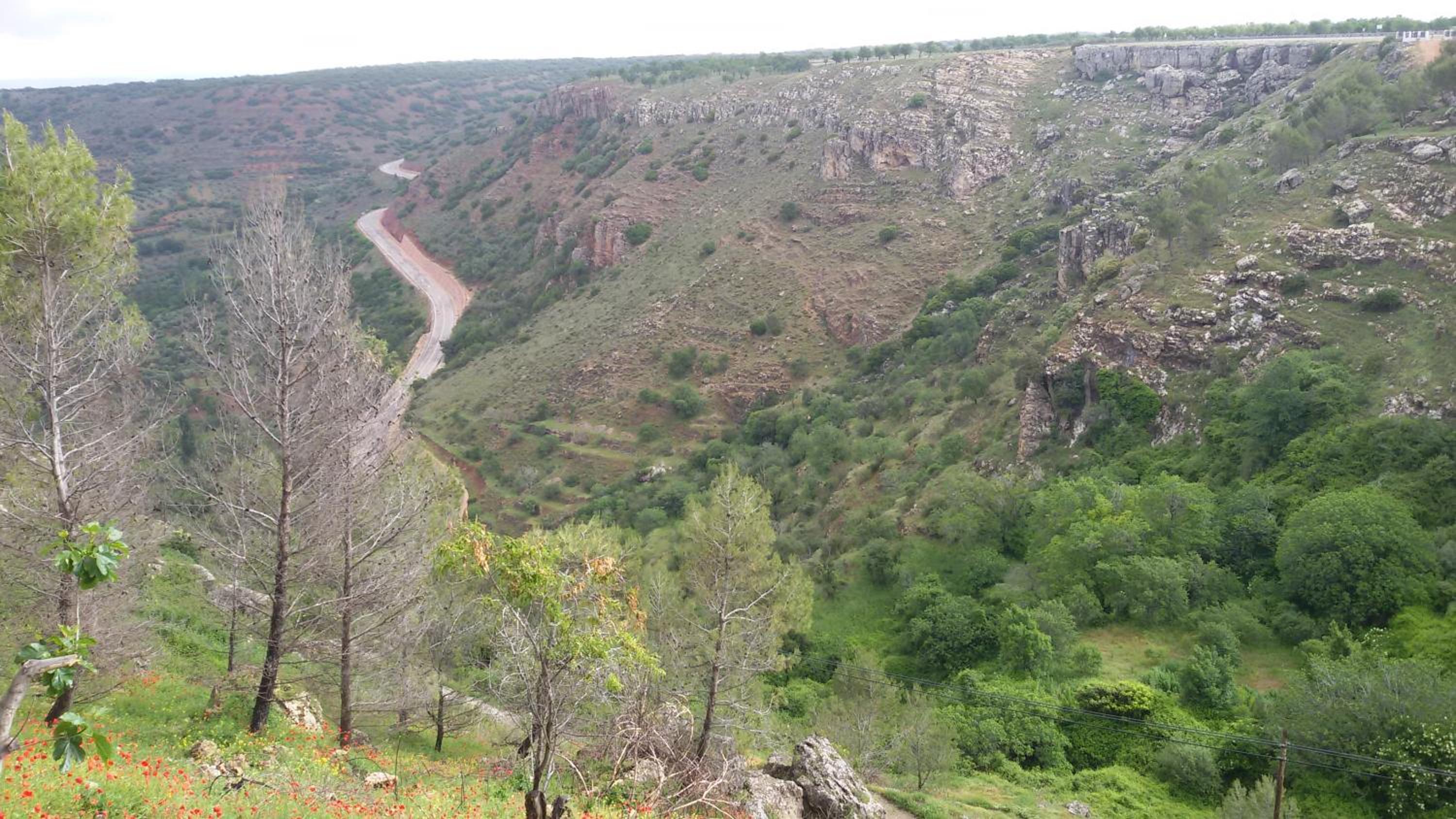 Casa Rural Las Camilas- Sierra de Alcaraz