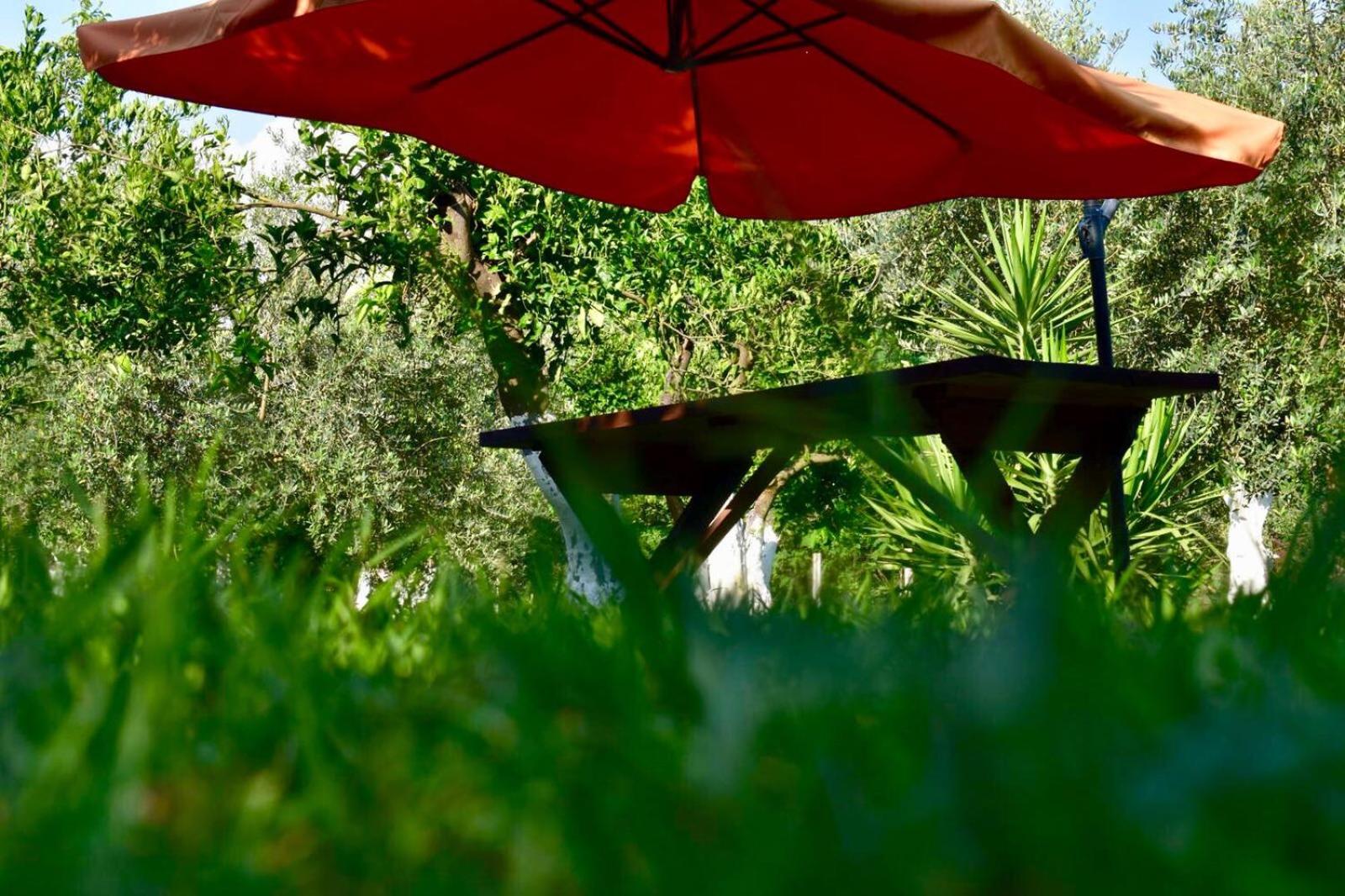 Decri resort, photo 145