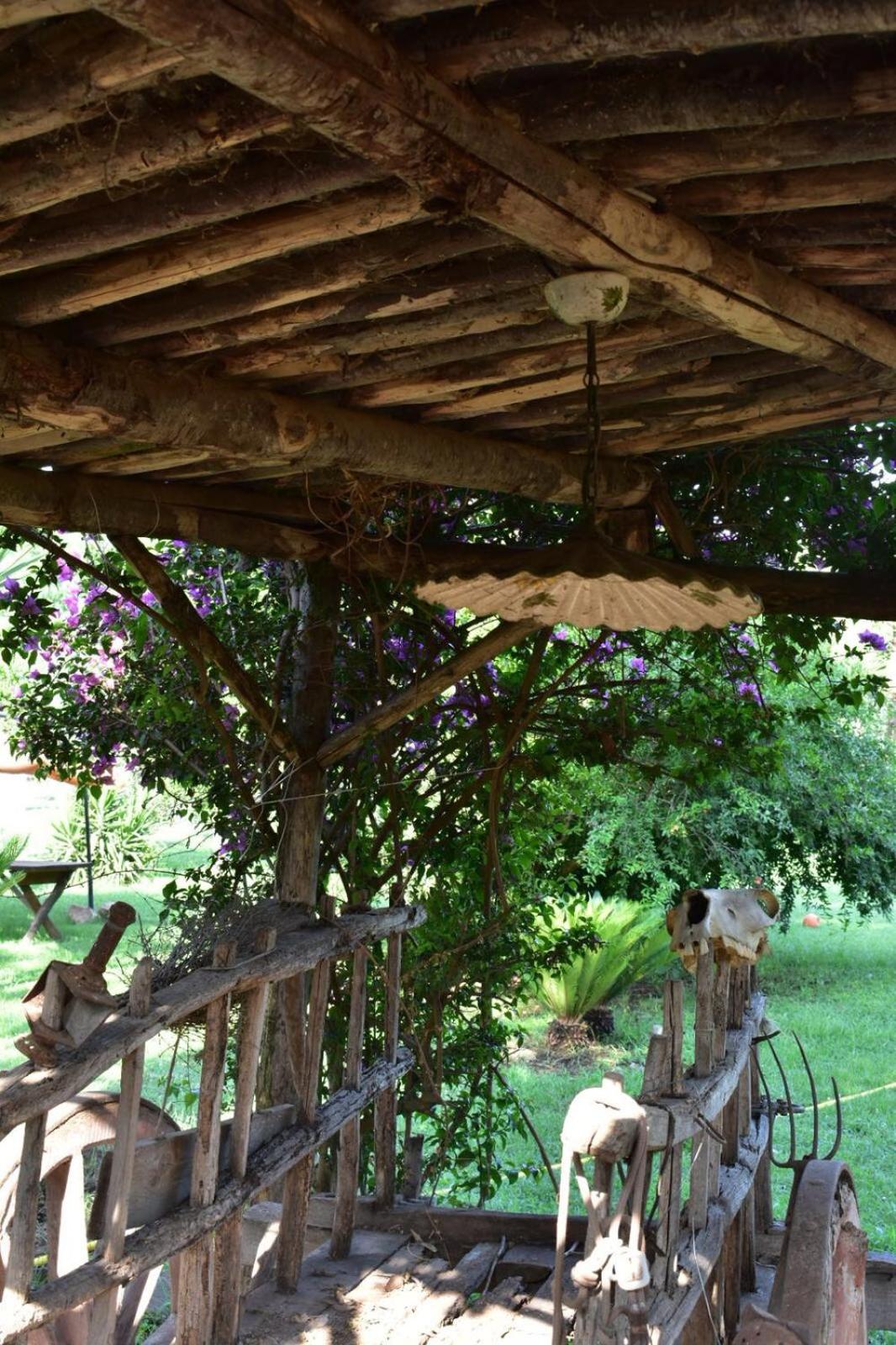 Decri resort, photo 128