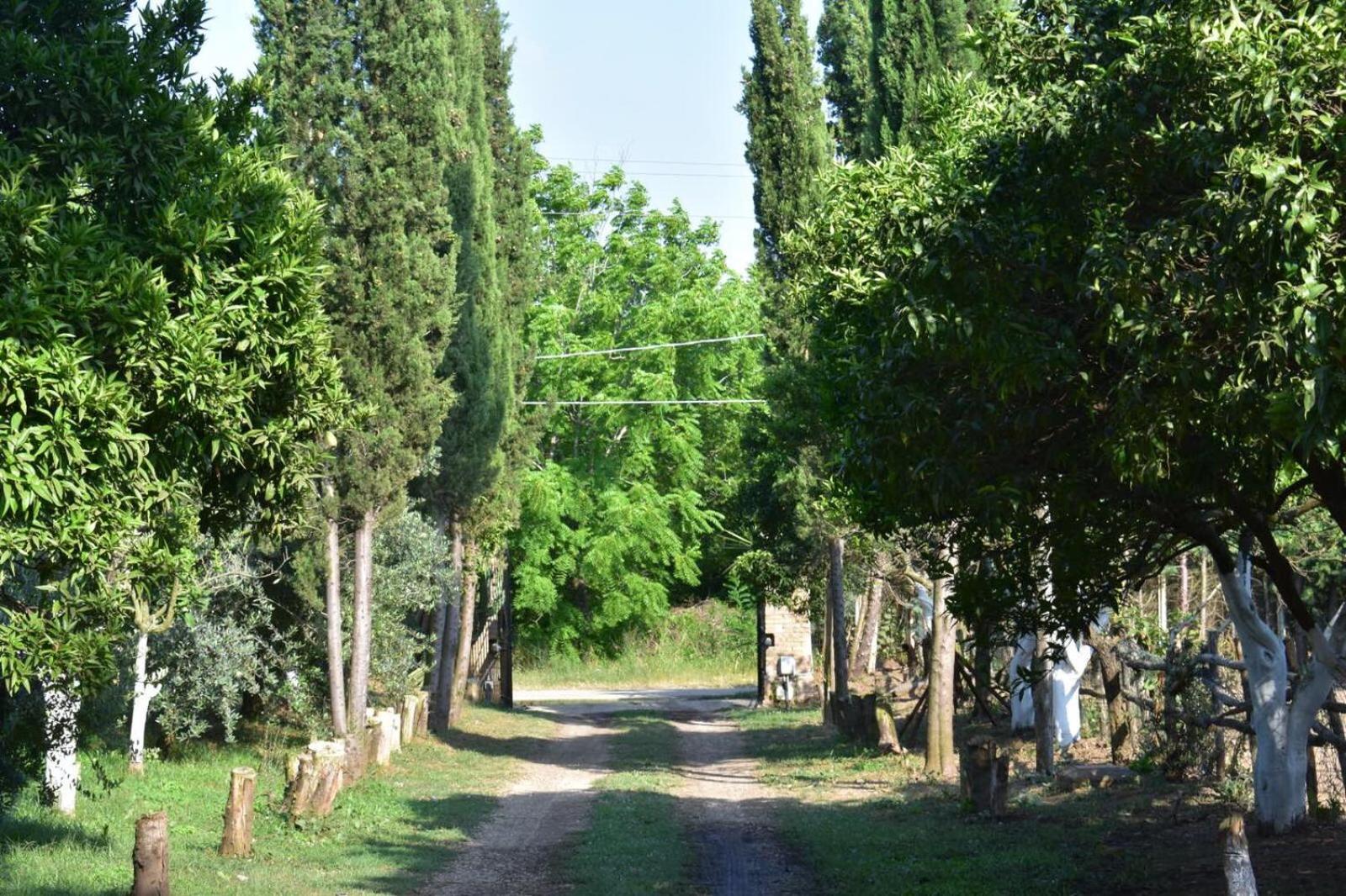 Decri resort, photo 9