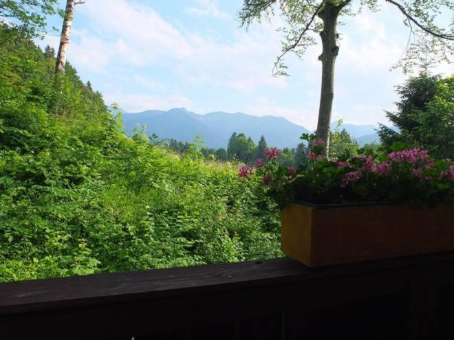Bucherhof