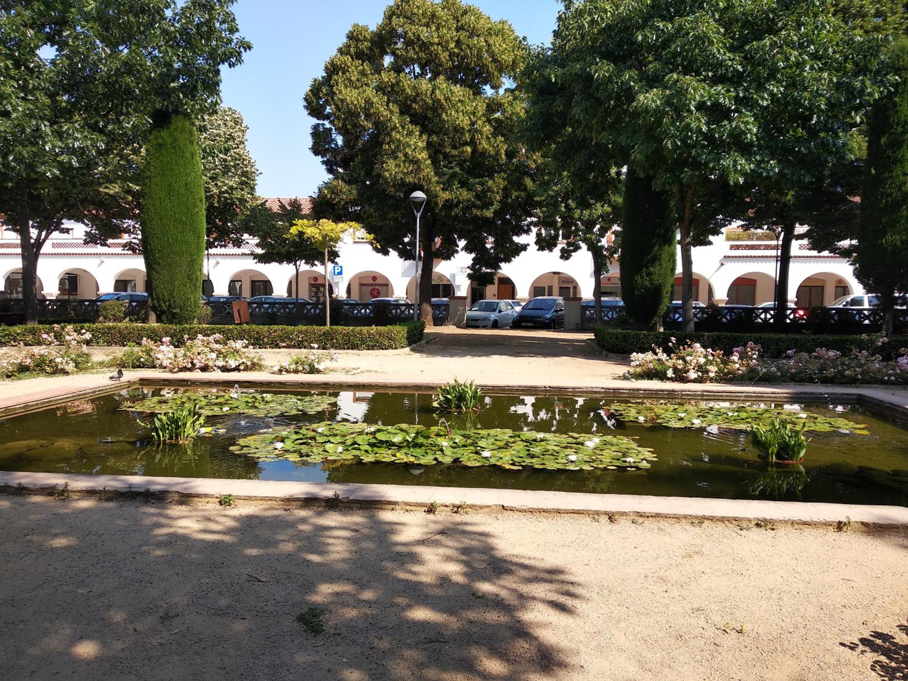 Photo 19