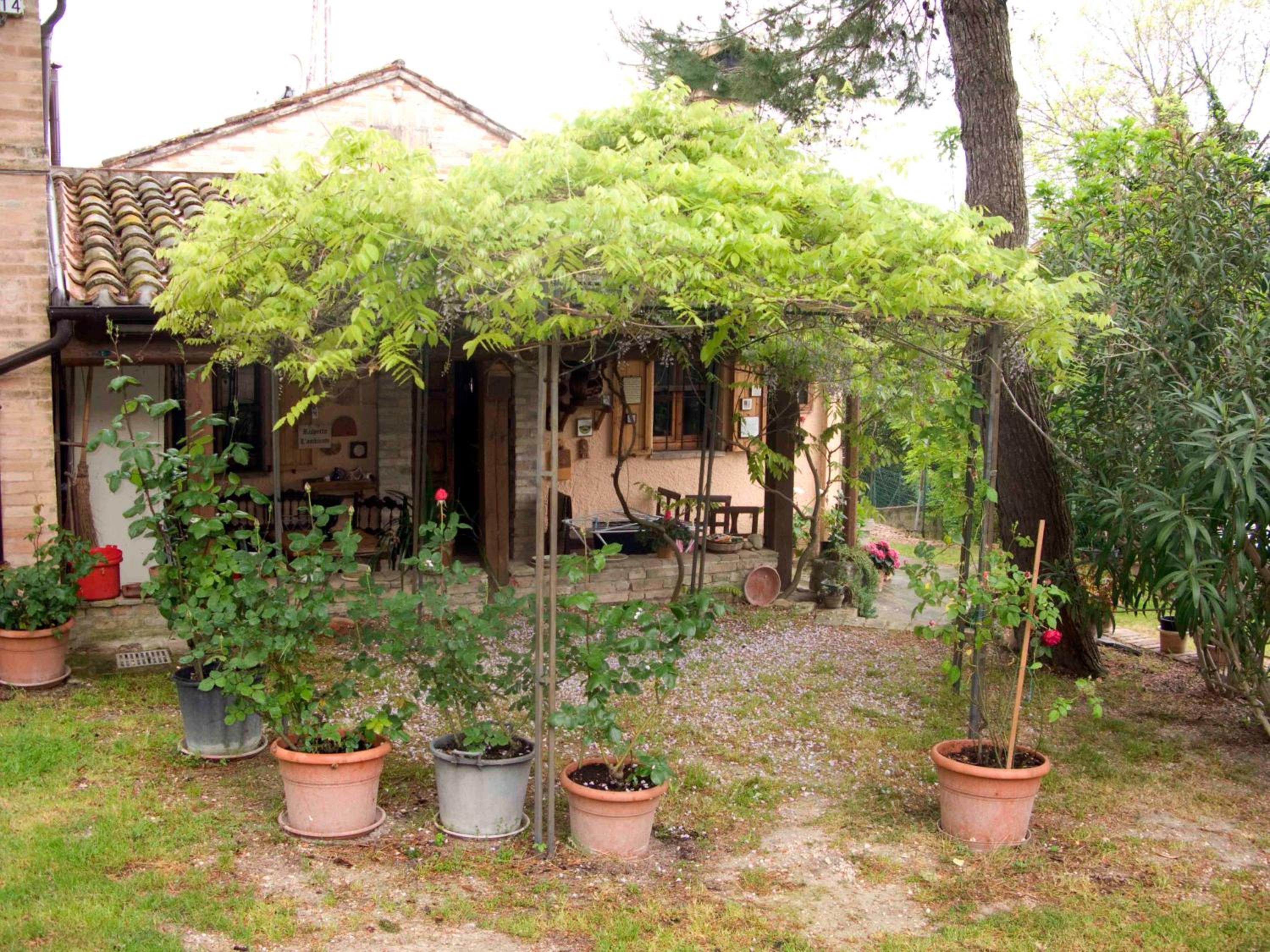 Photo 43