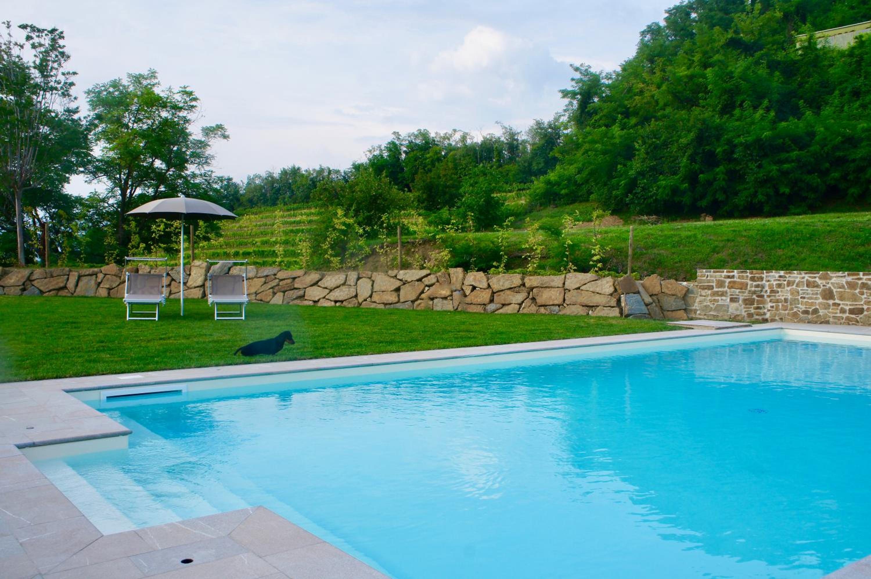 Agriturismo Ronchi Di Sant'Egidio view 5