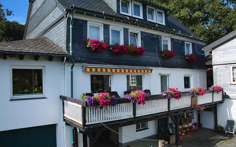 Pension Bergfrieden view 5