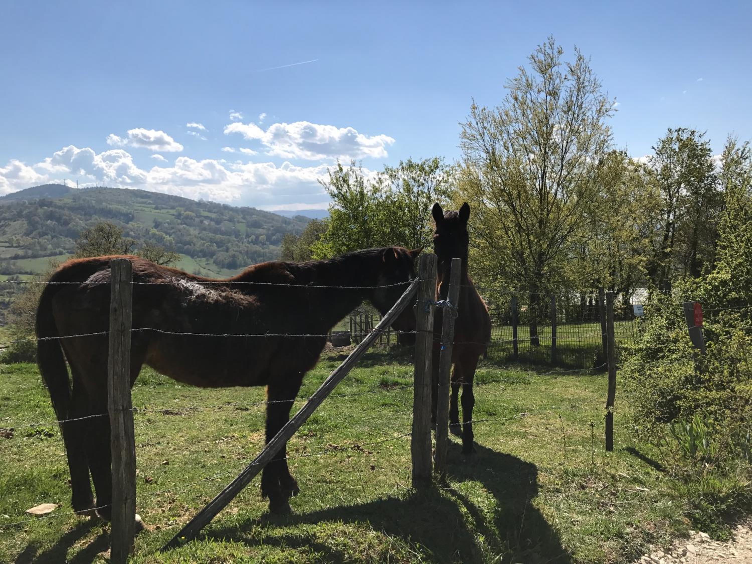Il Sentiero dei Goti San Marino e Montefeltro